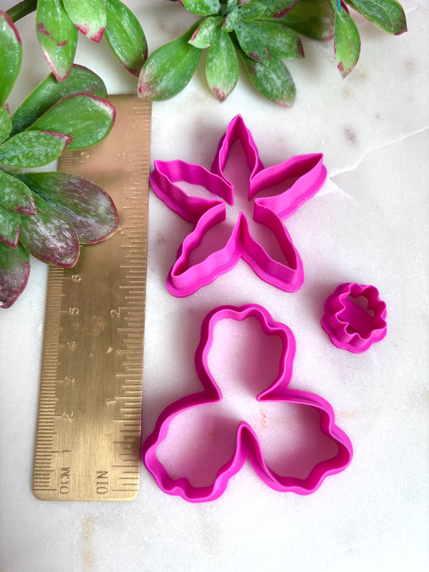 Large Star Orchid Set