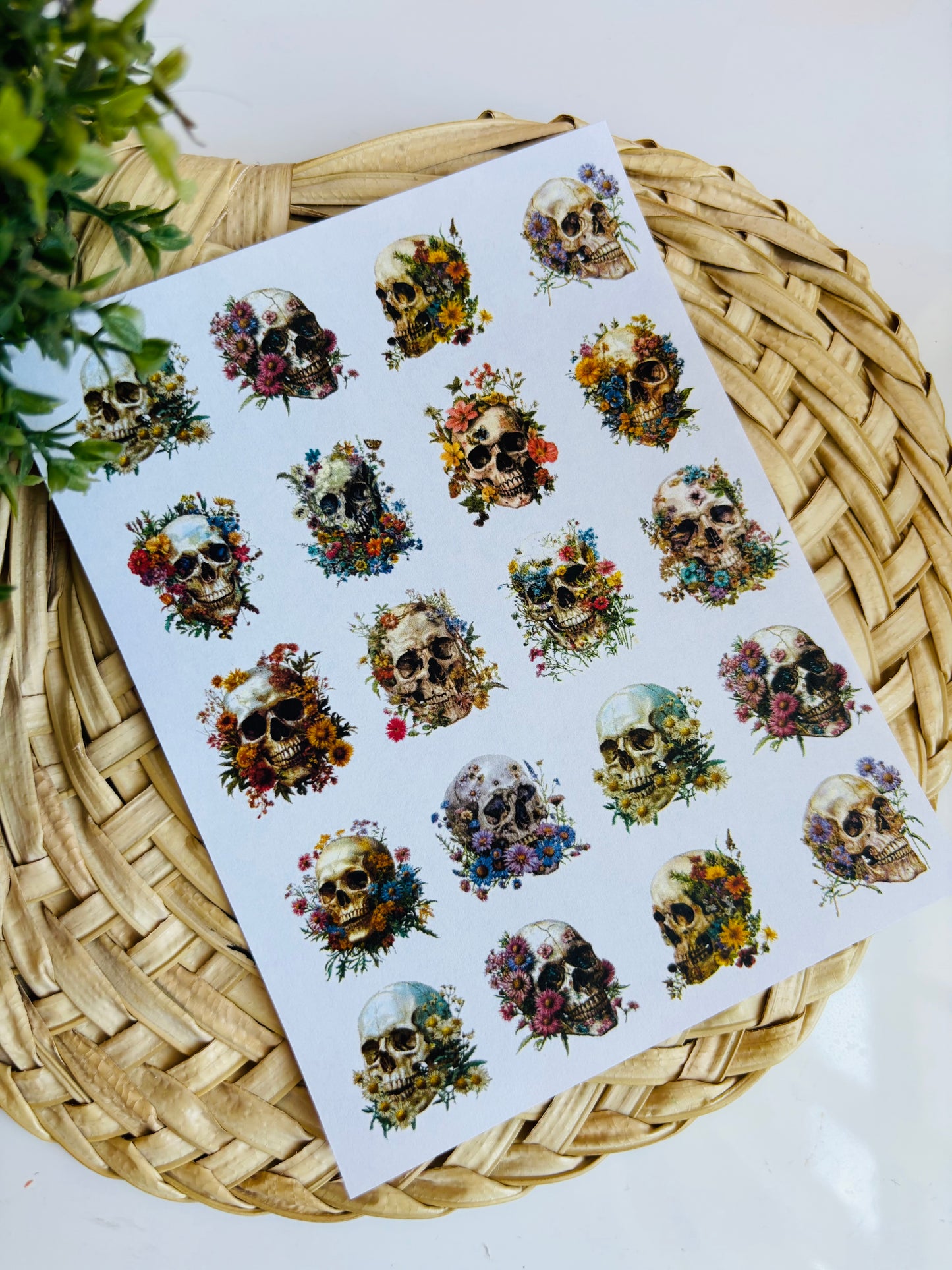 Floral Skull Transfer Paper