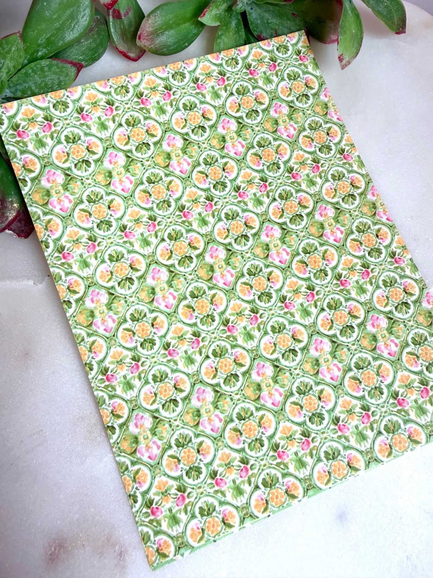Mediterranean Scallop Transfer Papers