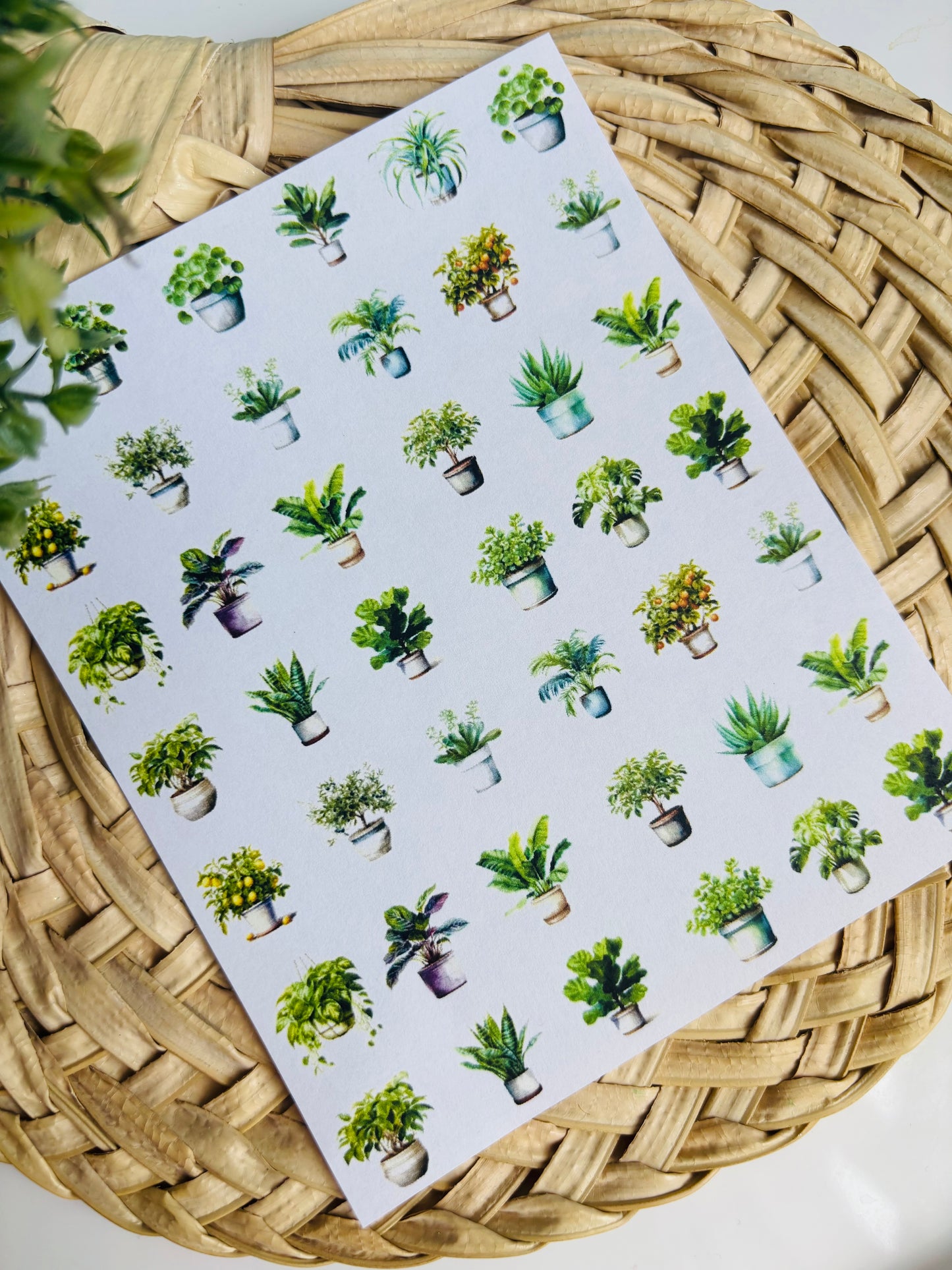 Potted Plant Charms Transfer Paper