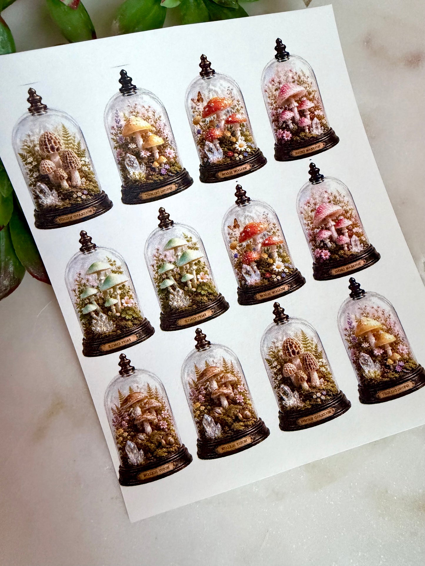 Mushroom Cloche Transfer Paper