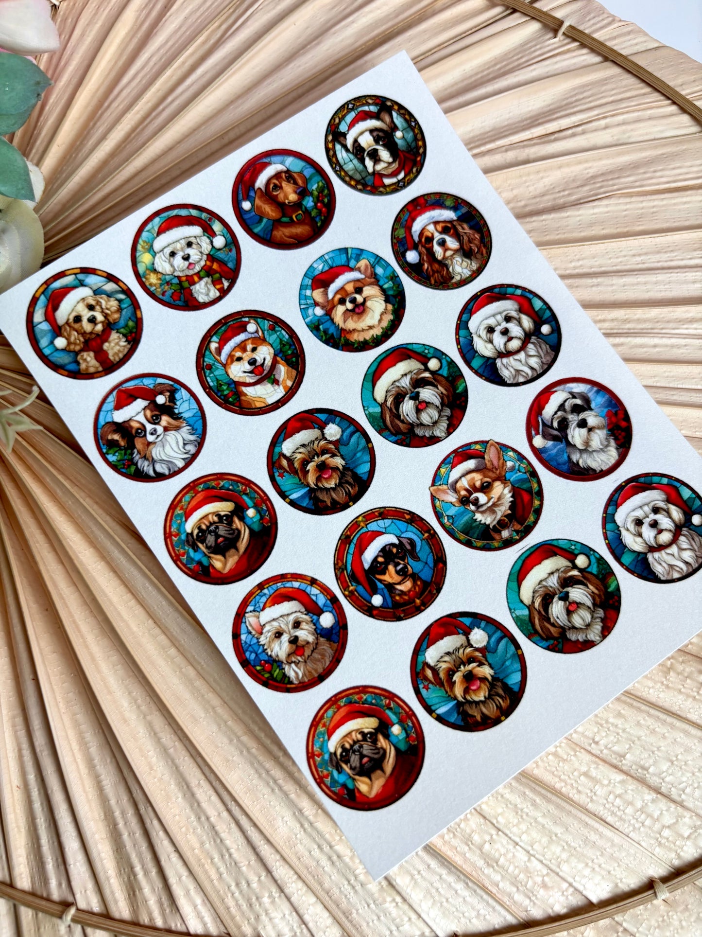 Small Breed SG Transfer Paper