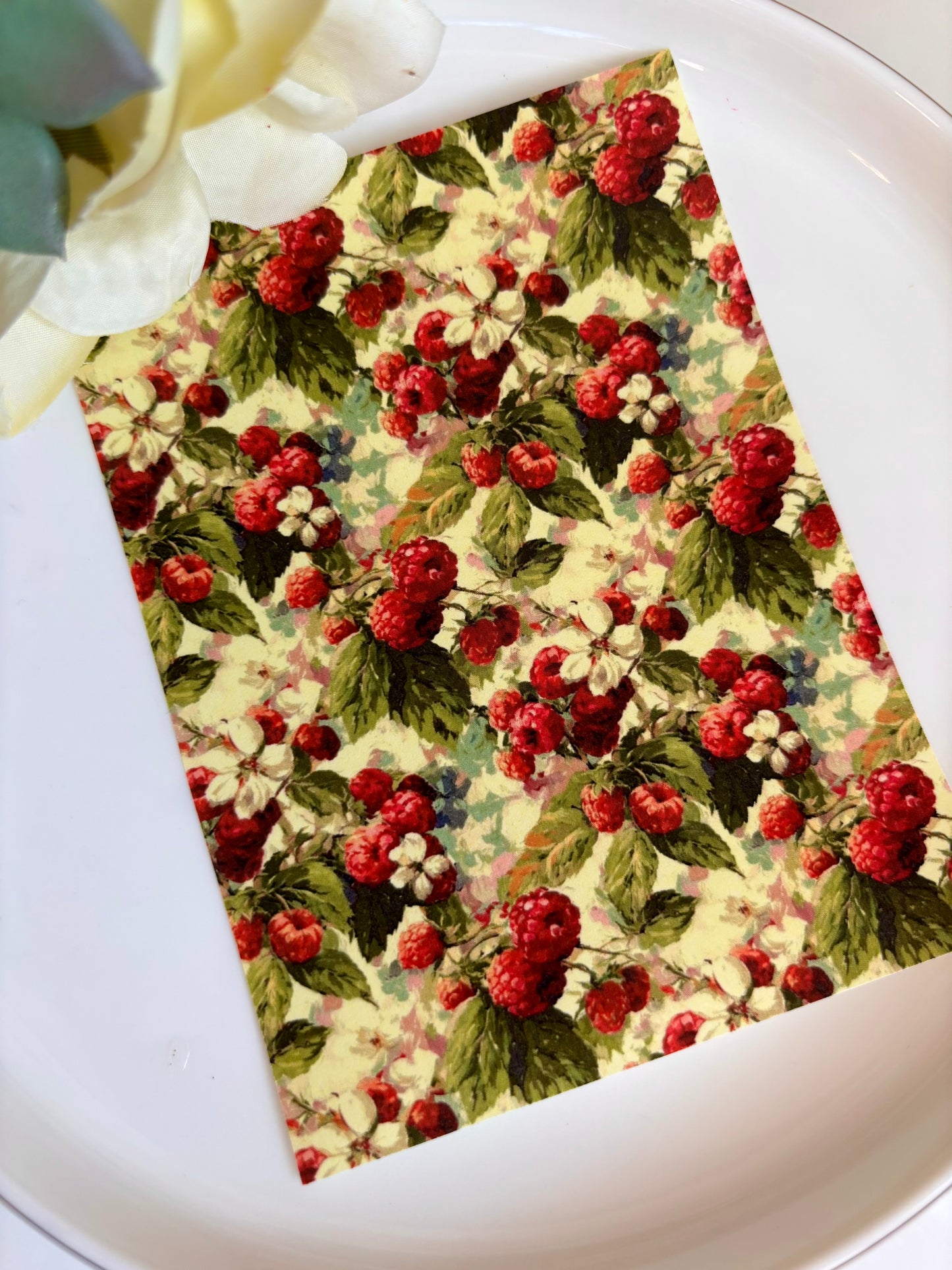 Raspberry Oil Painting Transfer Paper