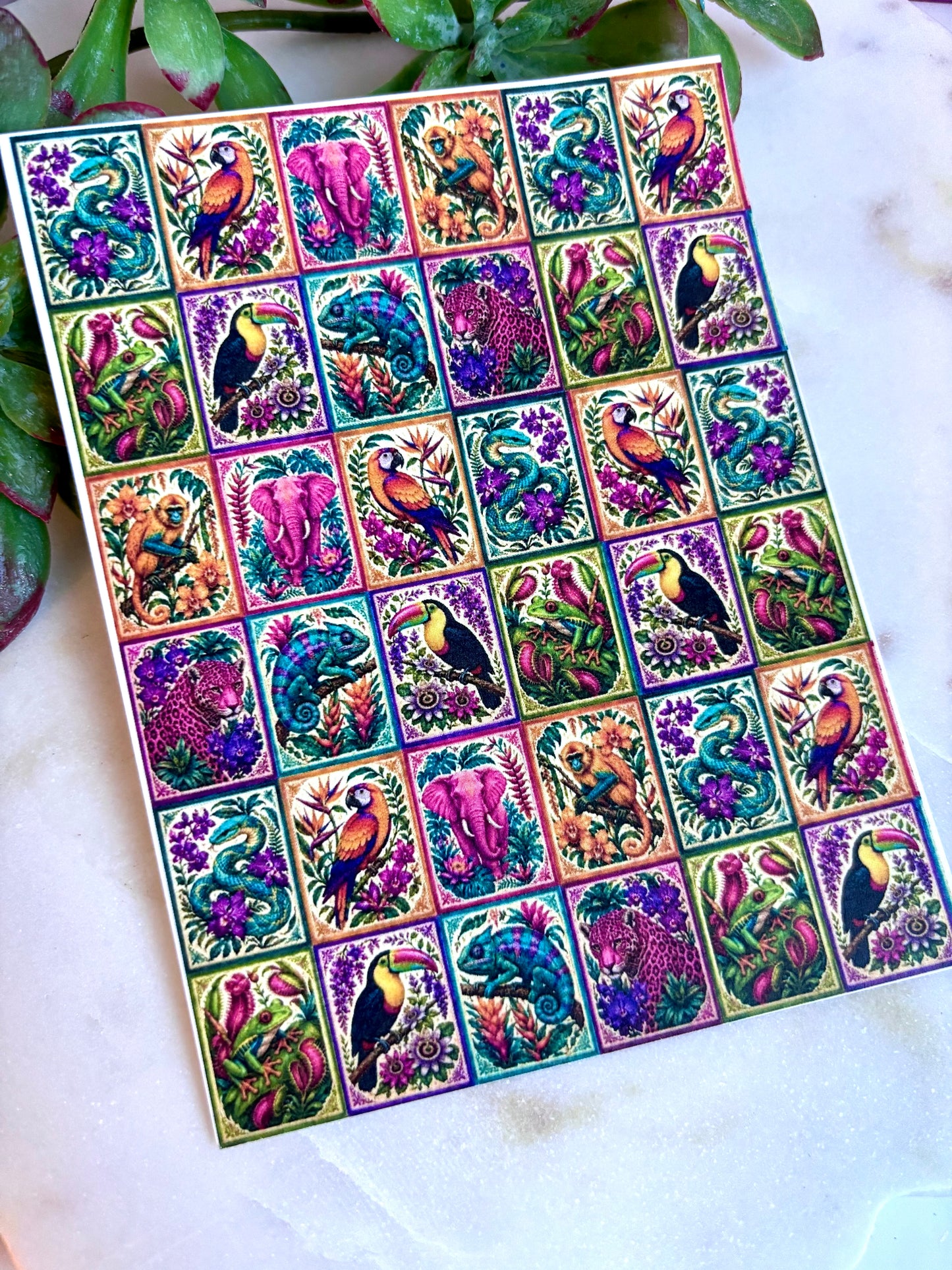 Funky Jungle Animal Tile Transfer Papers
