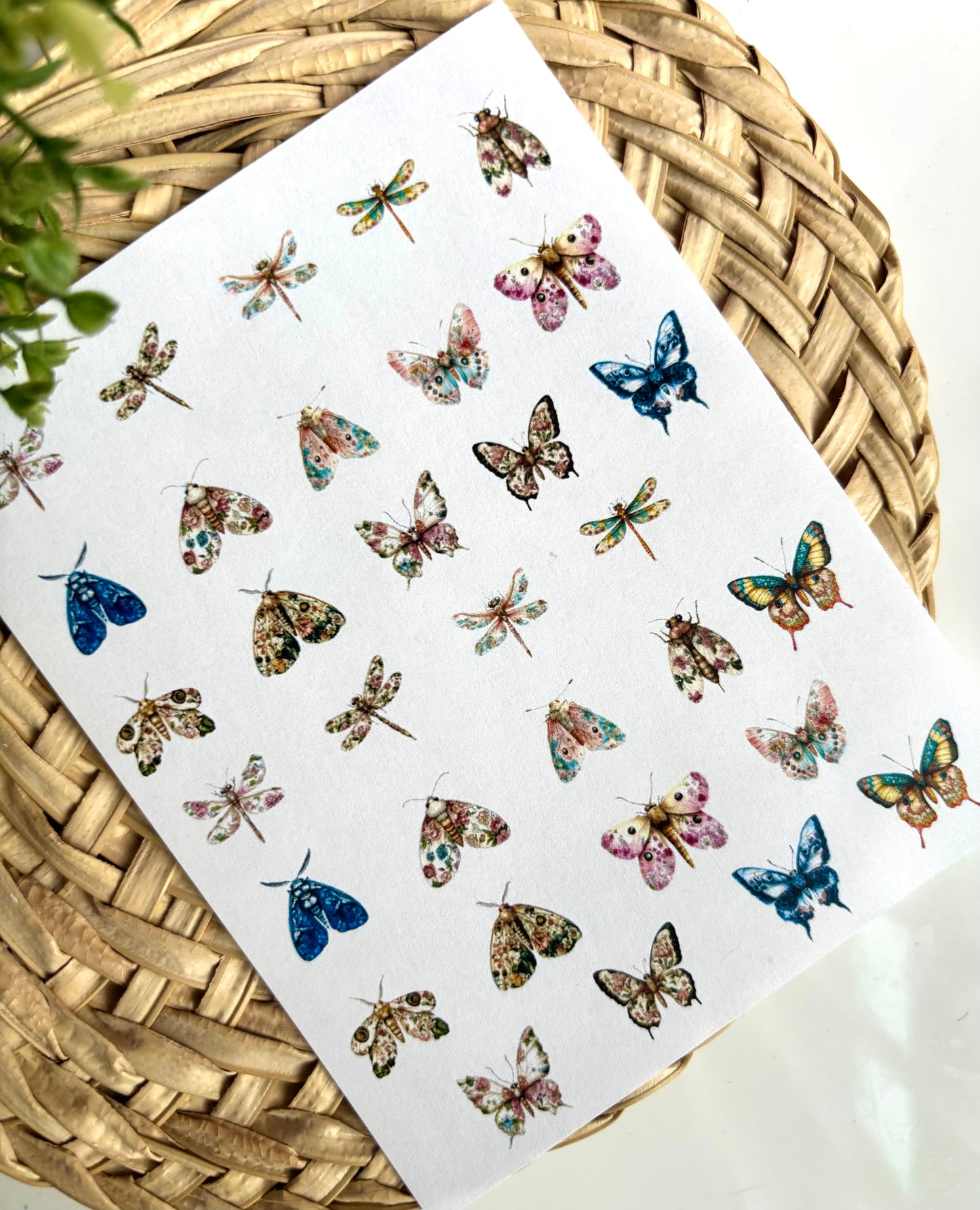 Floral Fliers Charm Transfer Paper