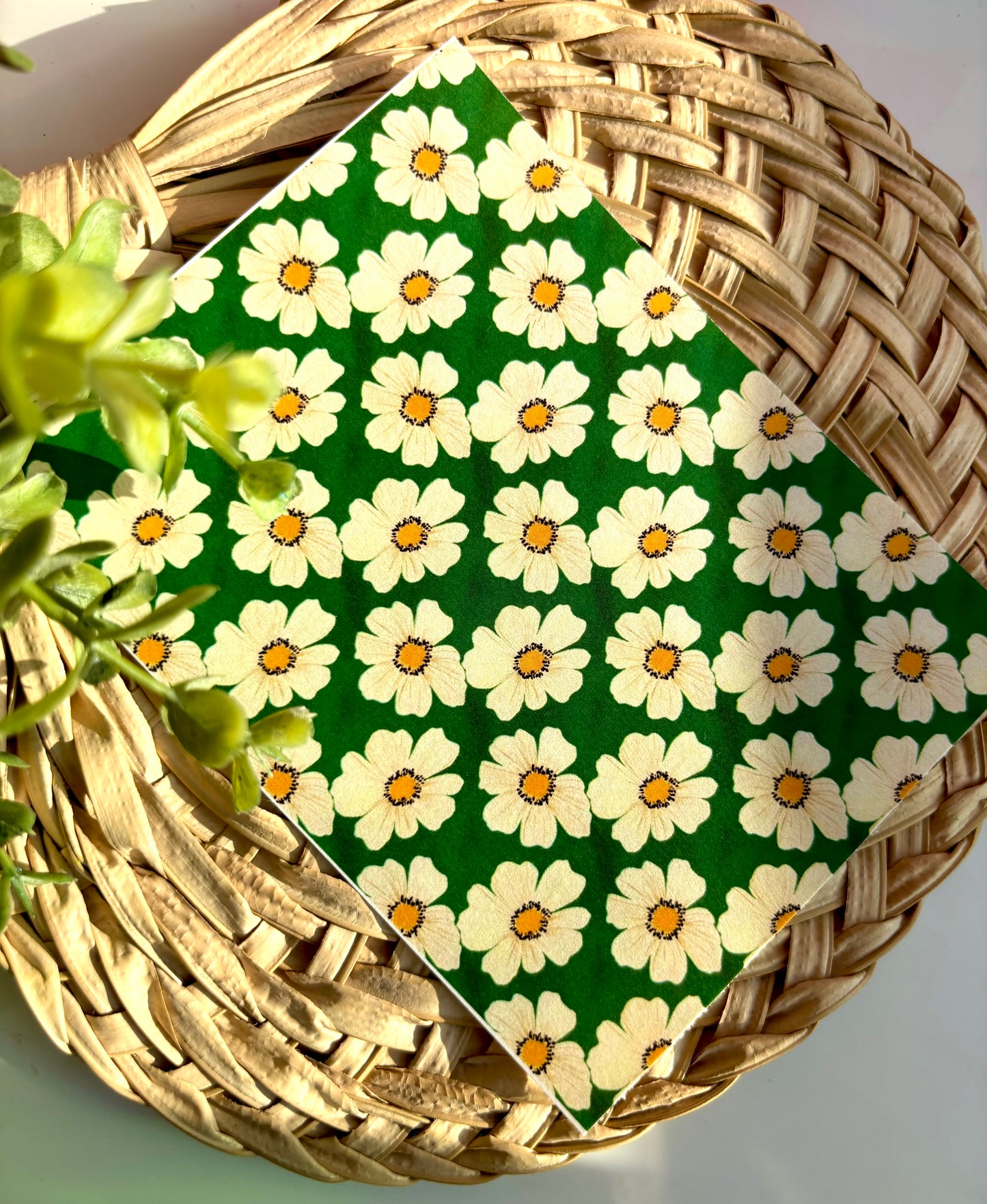 Daisy Love Transfer Paper