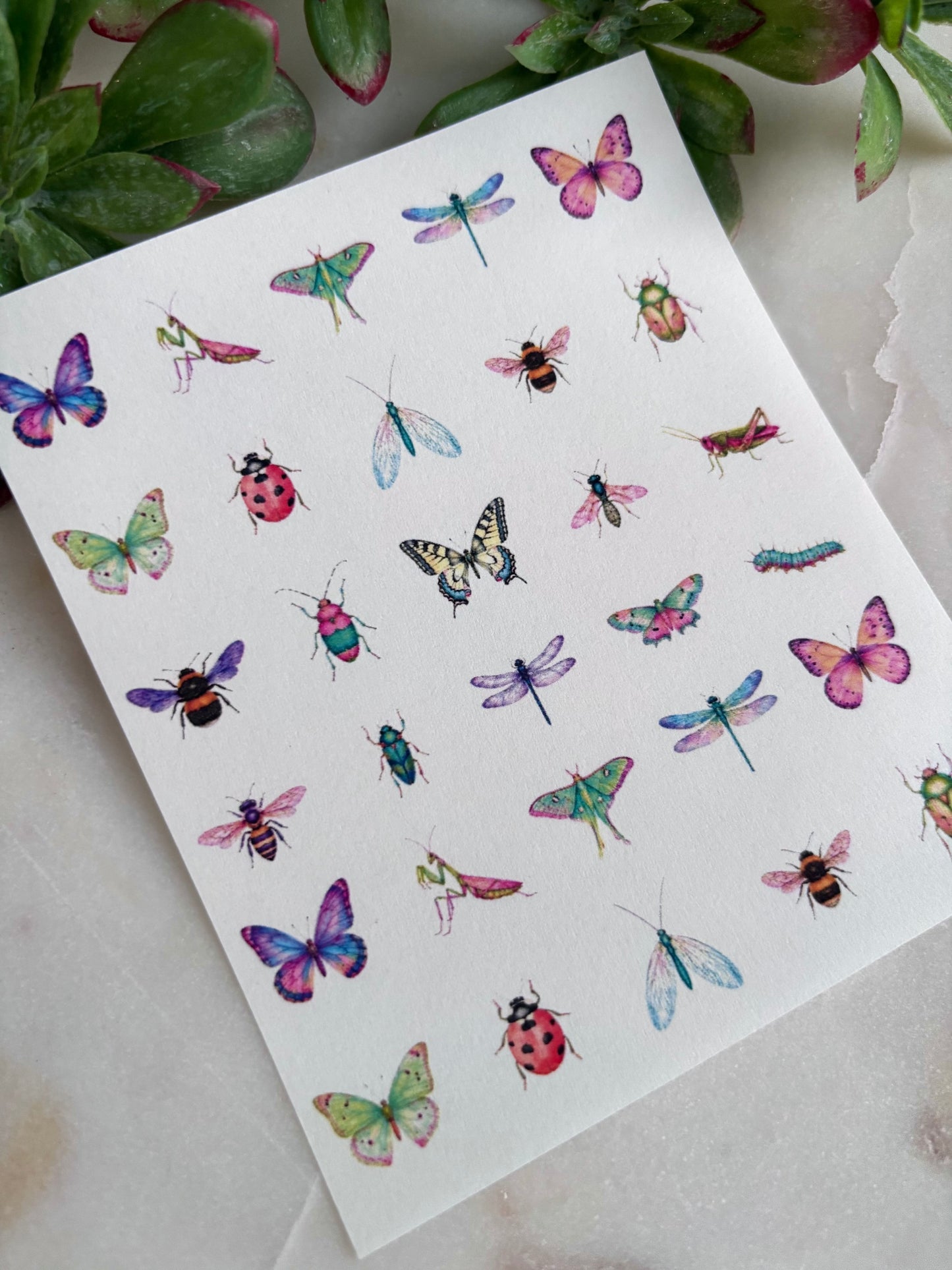 Pastel Insects Charm Transfer Paper
