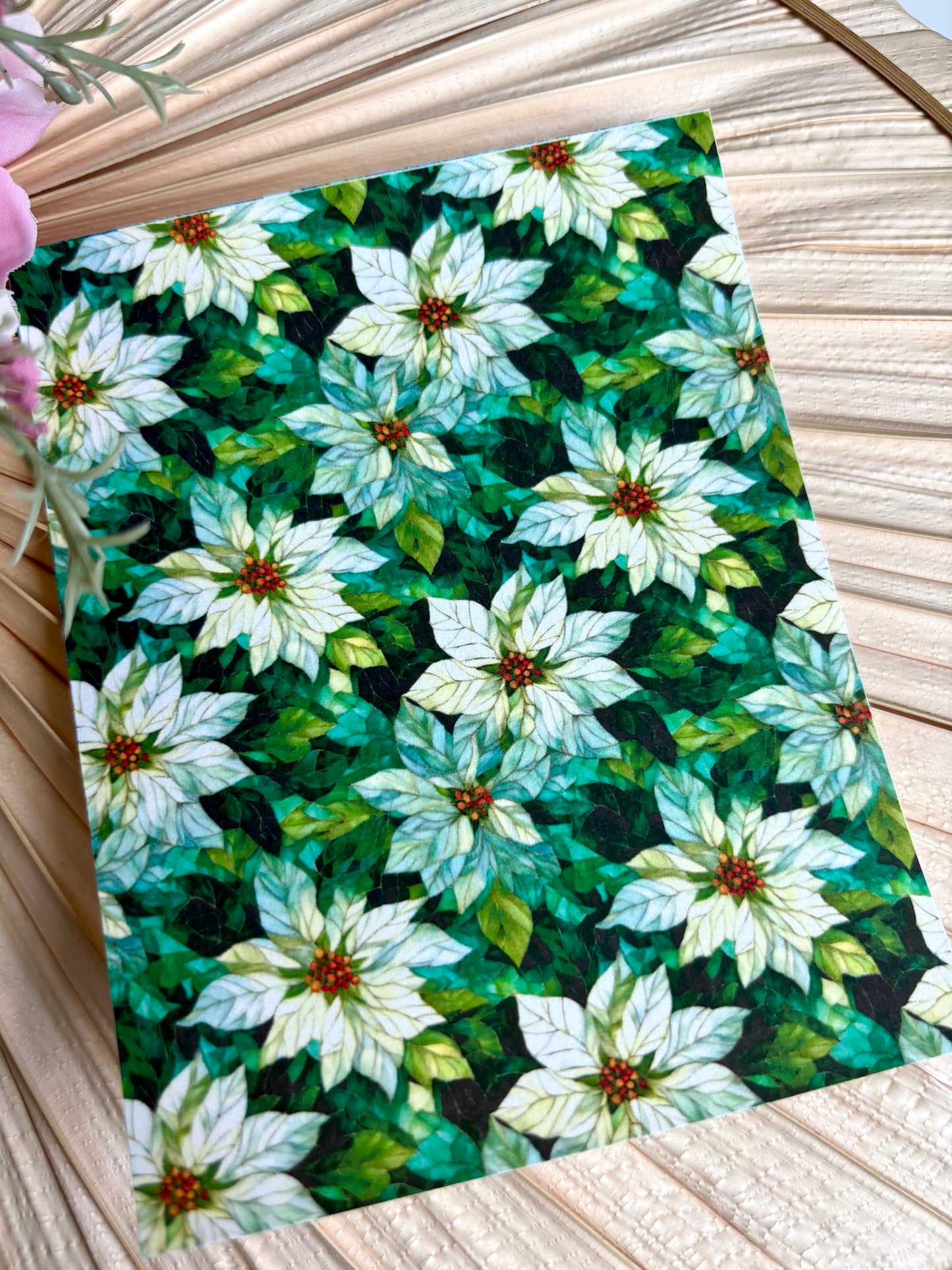 White Poinsettia SG Transfer Paper