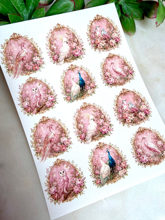 Rococo Birds Transfer Paper