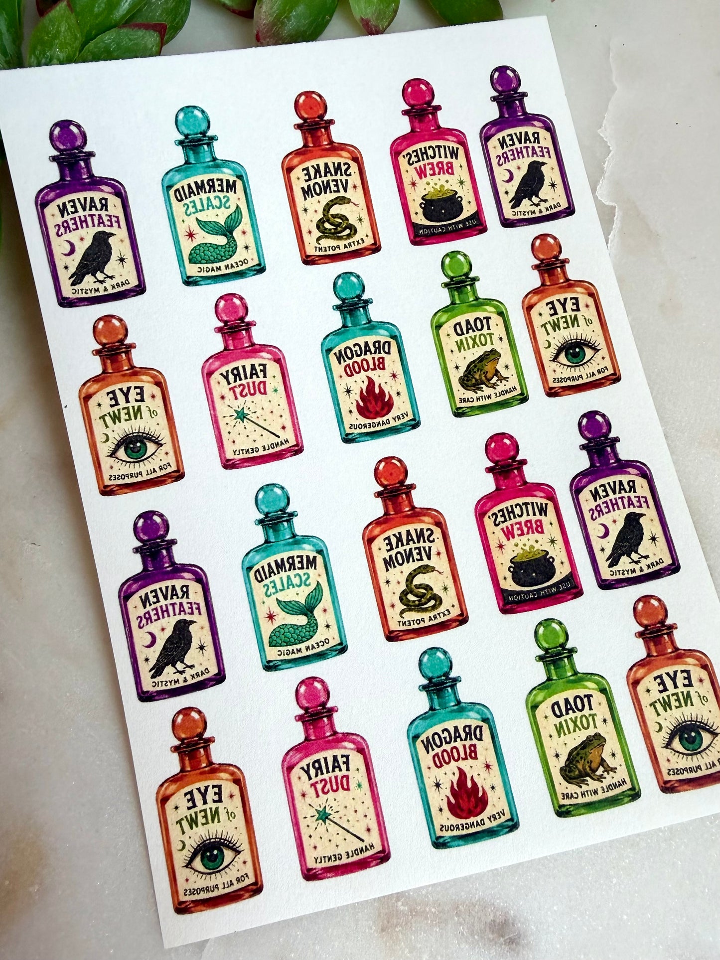 Vibrant Apothecary Cutters & Transfers