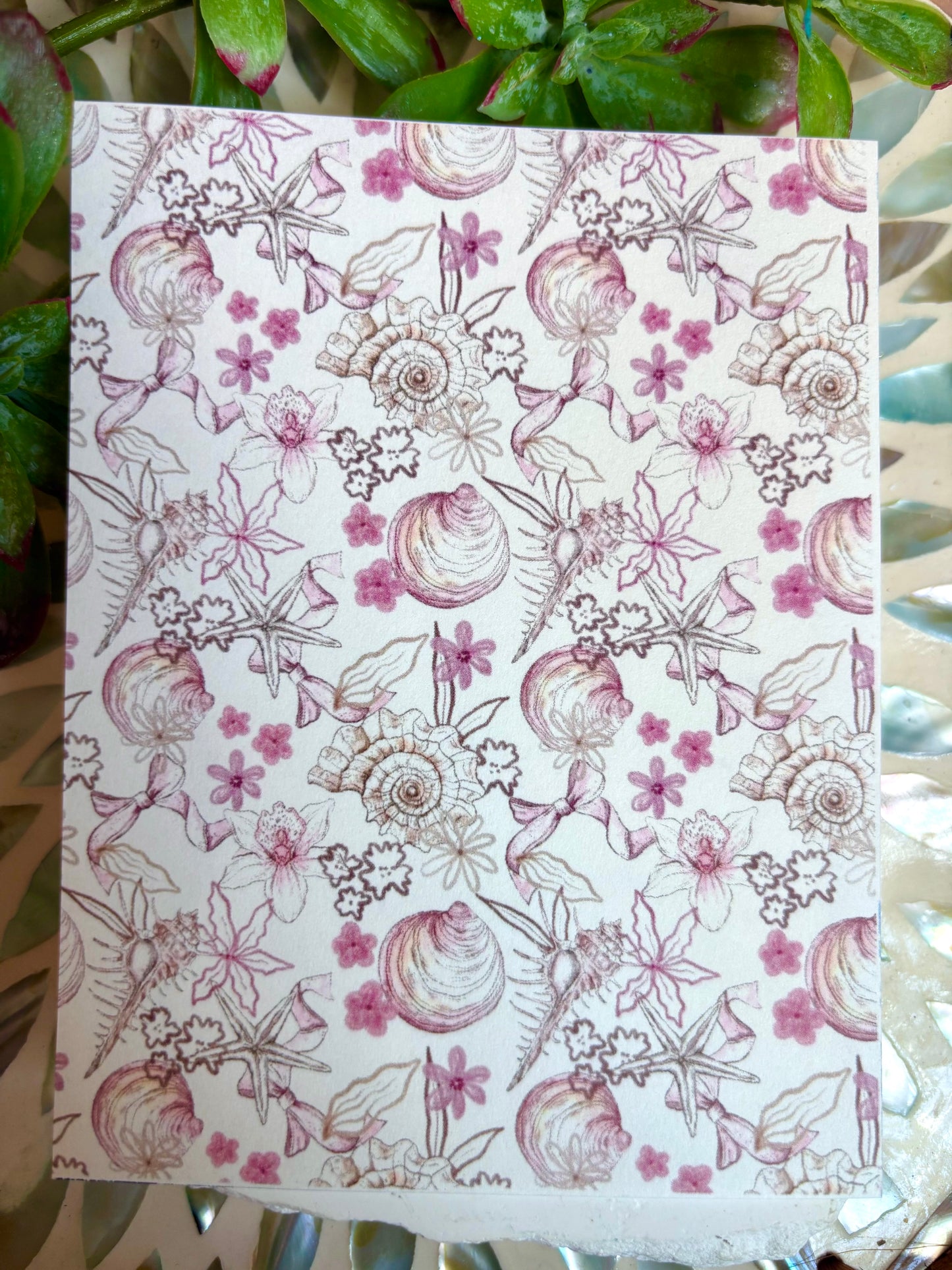 Pink Shells Transfer Paper
