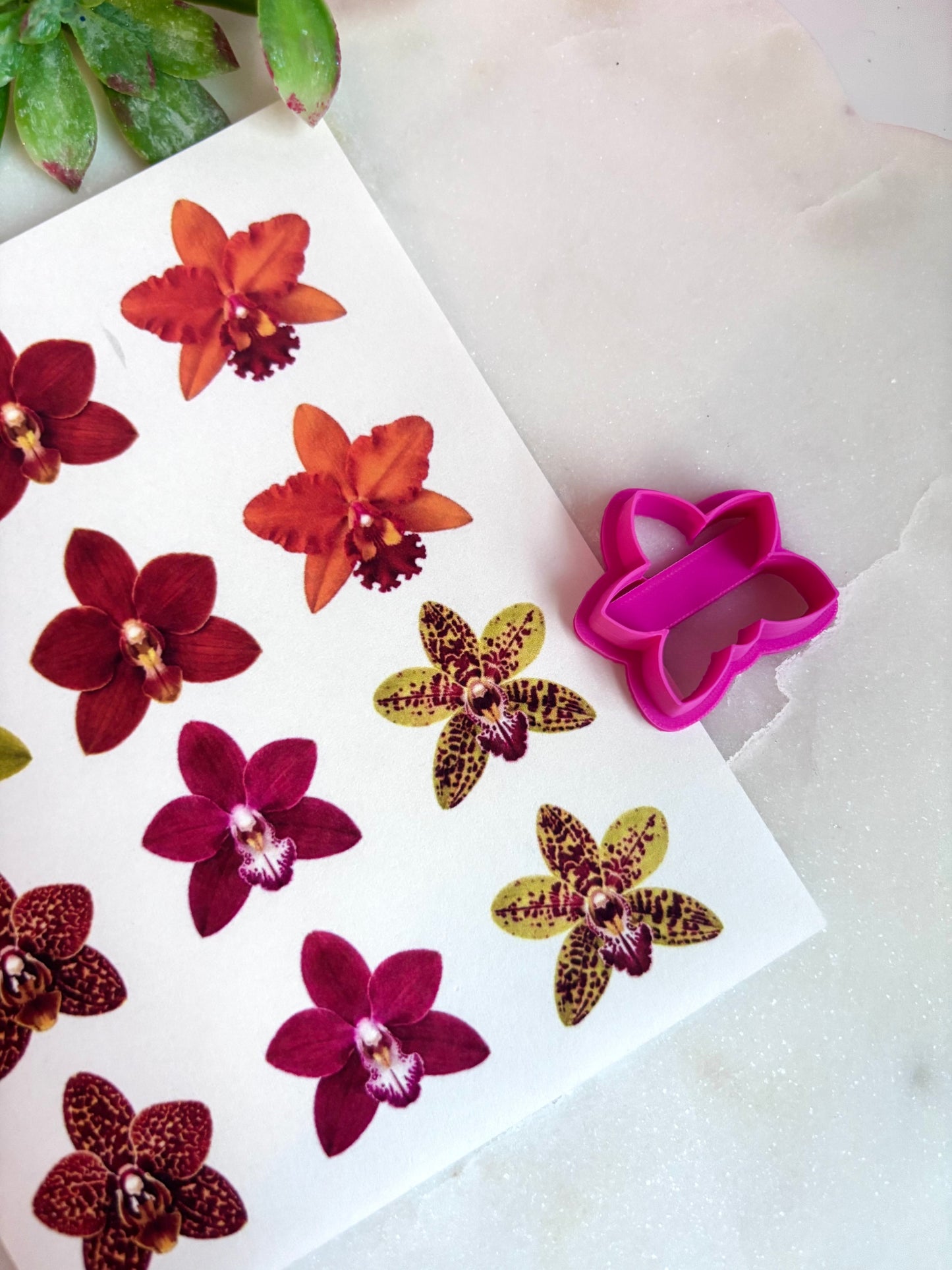 Orchid Transfers & Cutters