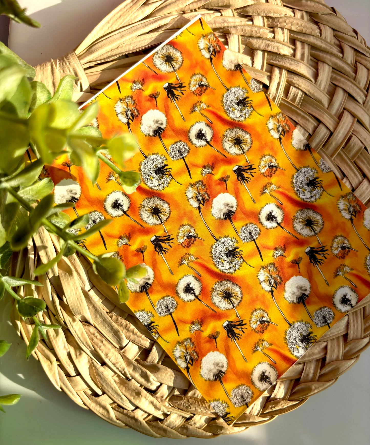 Dandelion Days Transfer Paper