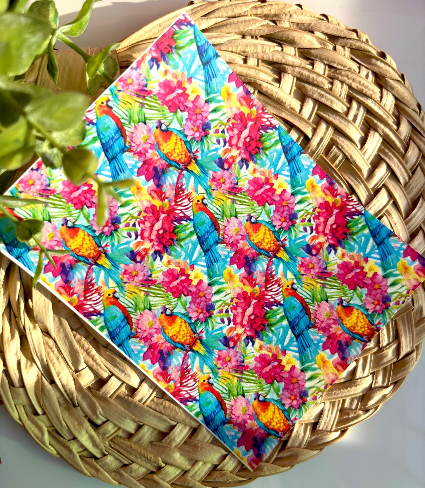 Parrots Transfer Paper