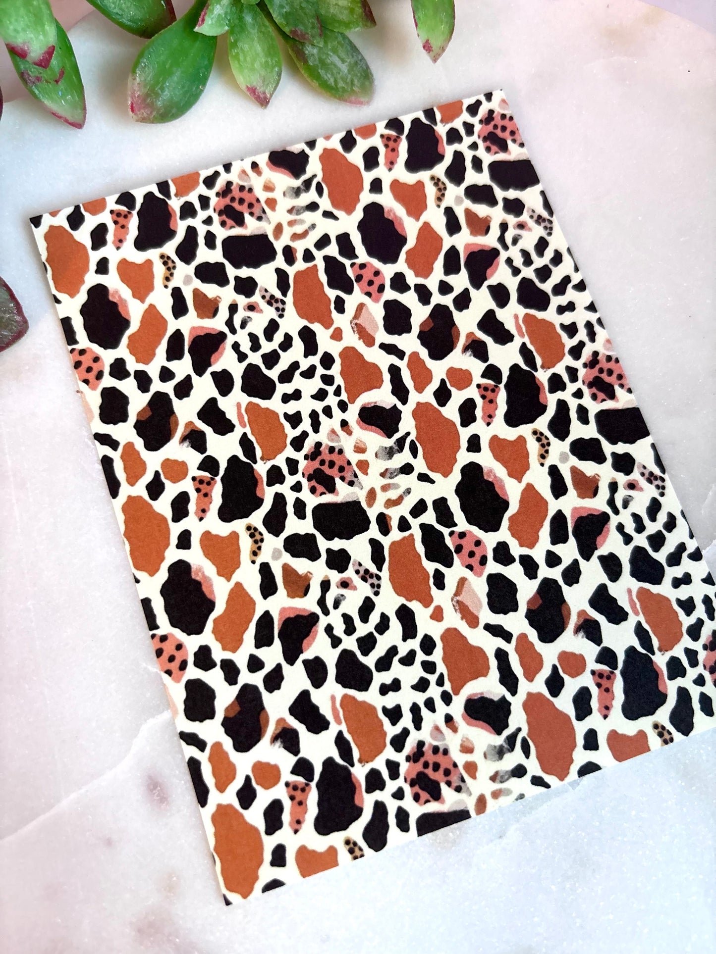 Tropical Cat Print Transfer Paper