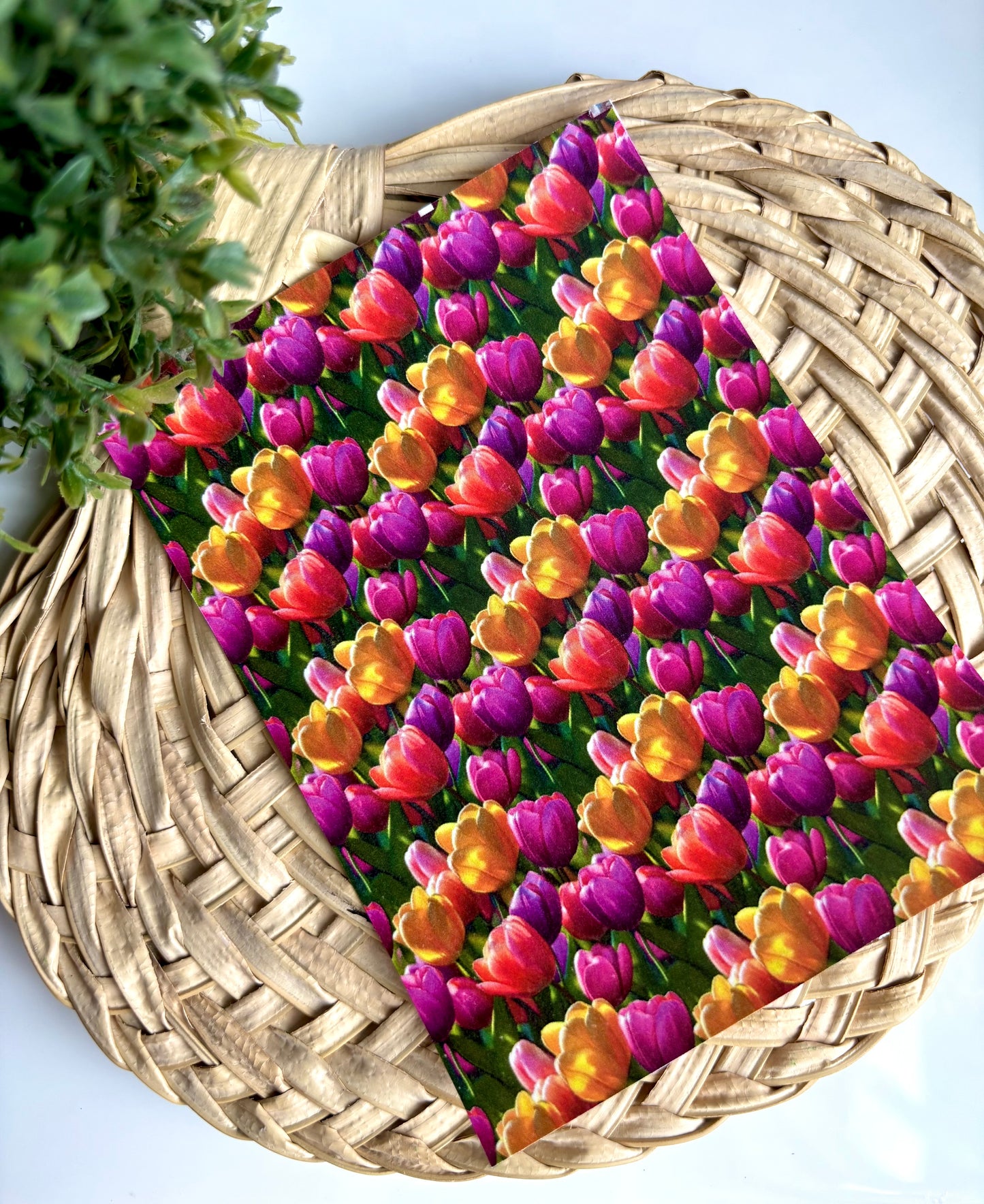 Vibrant Tulips Transfer Paper