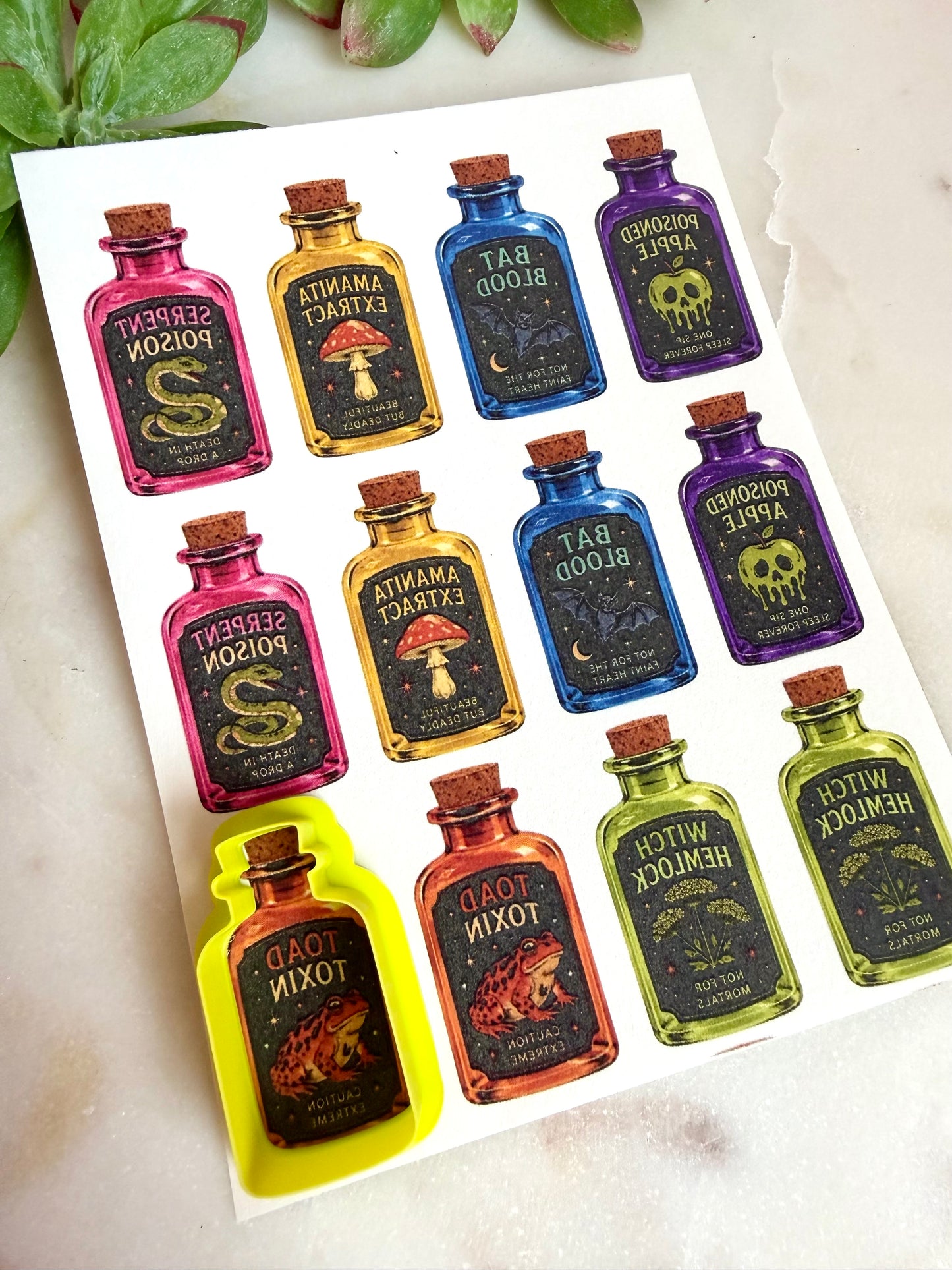 Witchy Potions Cutter& Transfer