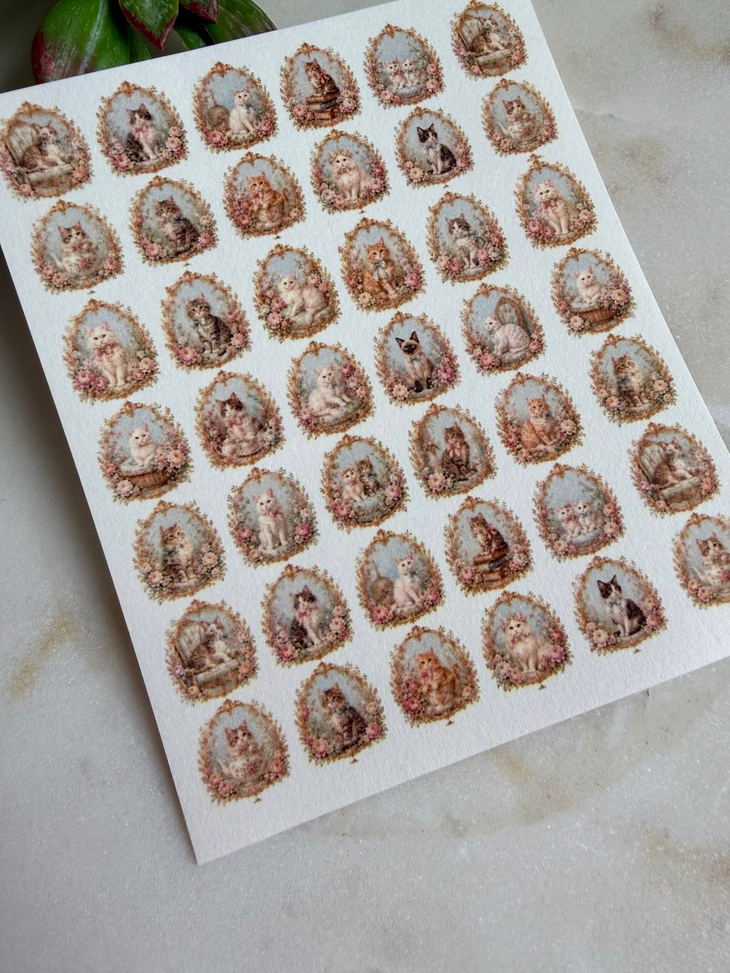 Rococo Kitty Transfer Papers
