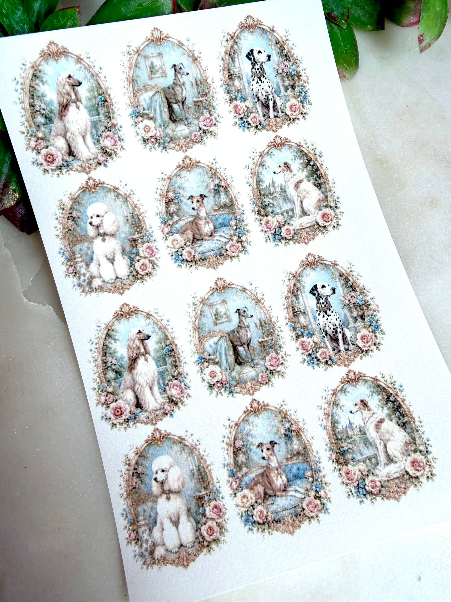 Rococo Pups Transfer Paper