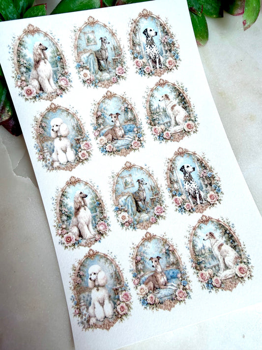 Rococo Pups Transfer Paper