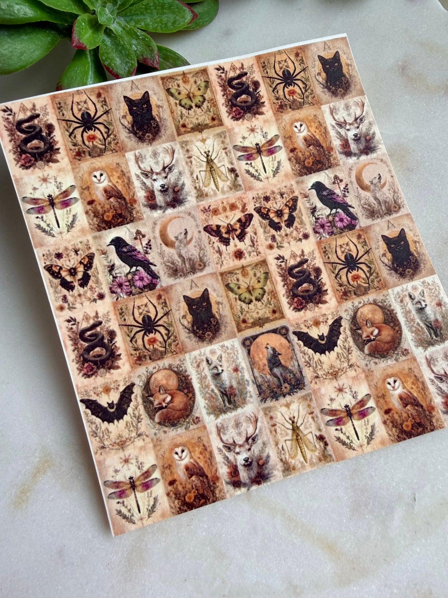 Mystic Tile Transfer Papers