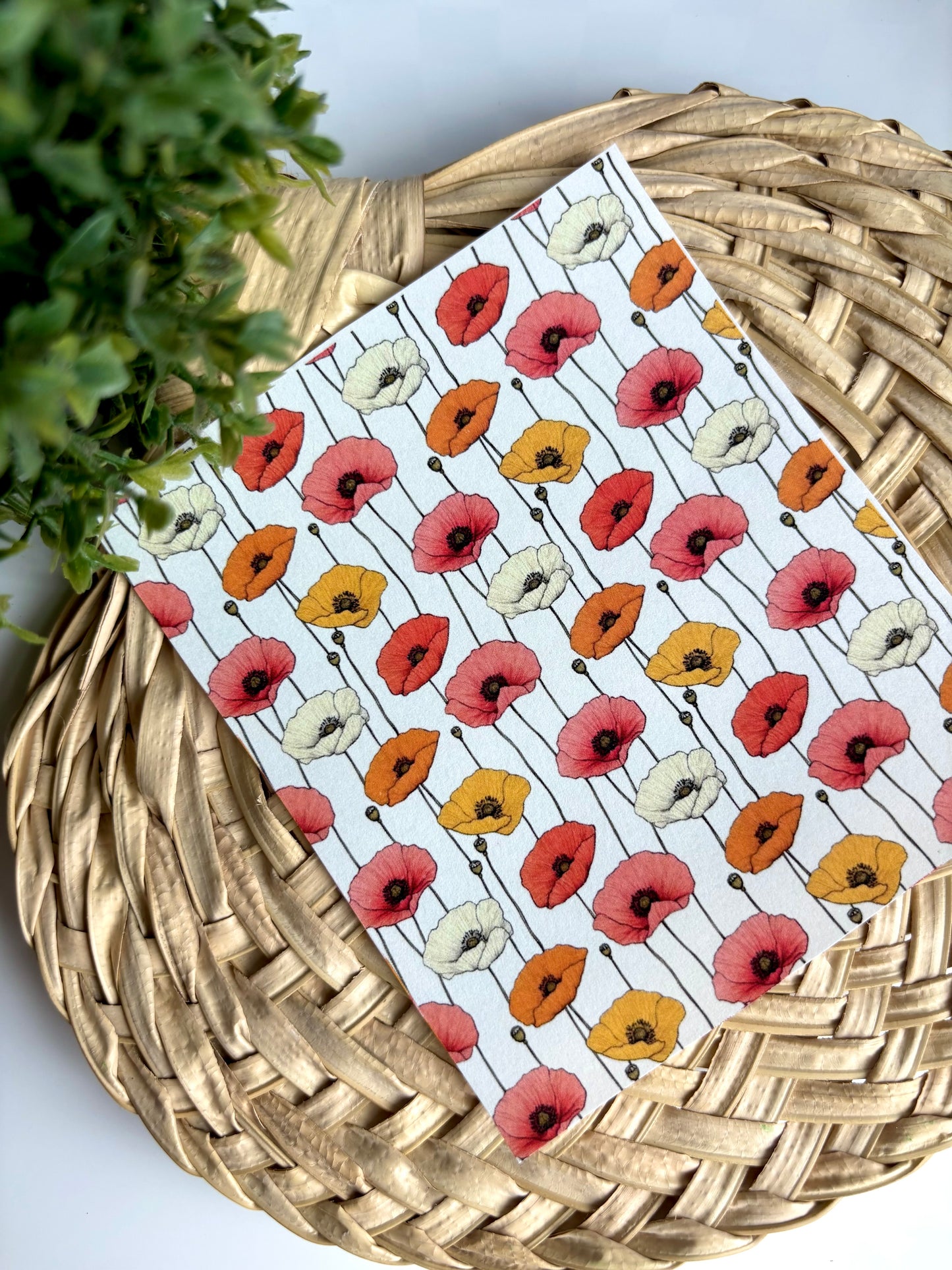 Cartoon Poppy Transfer Paper