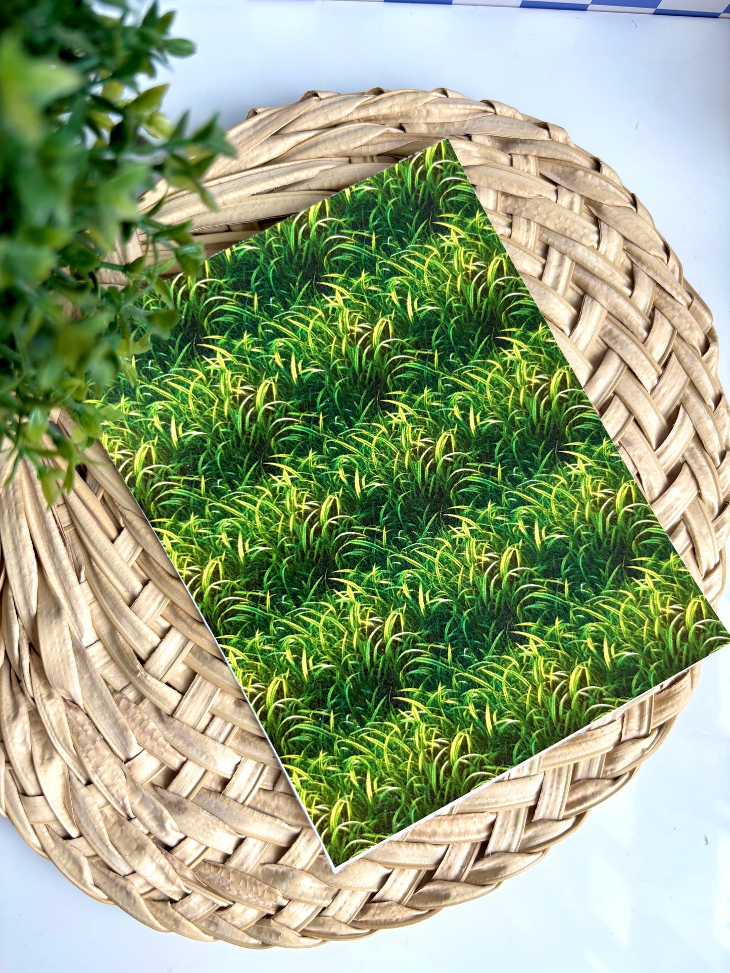 Grass Transfer Paper