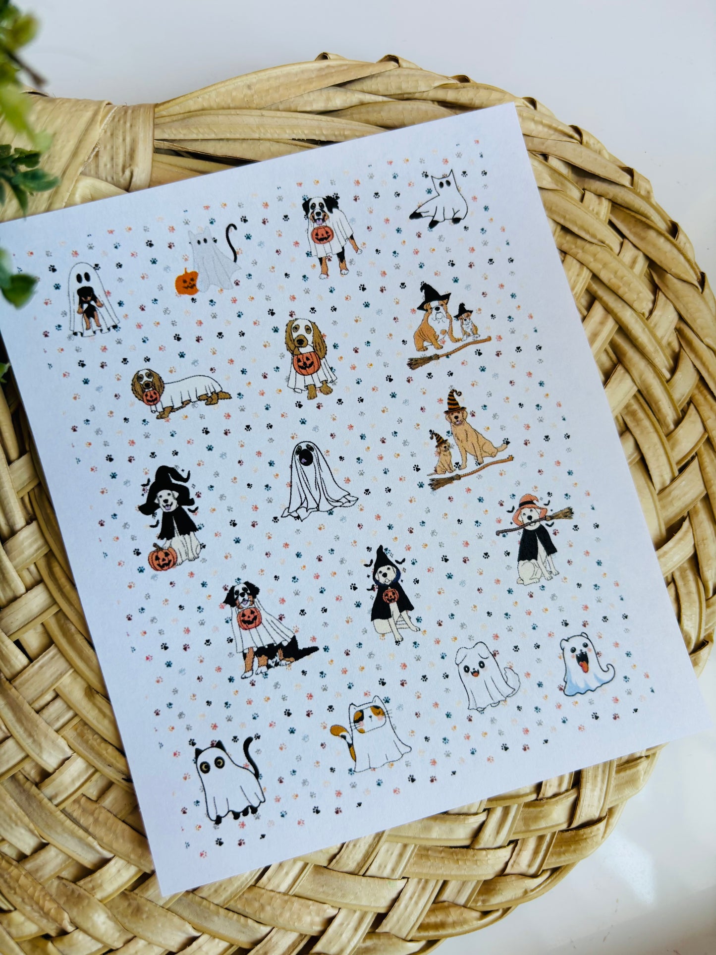 Pet Costume Charms Transfer Paper