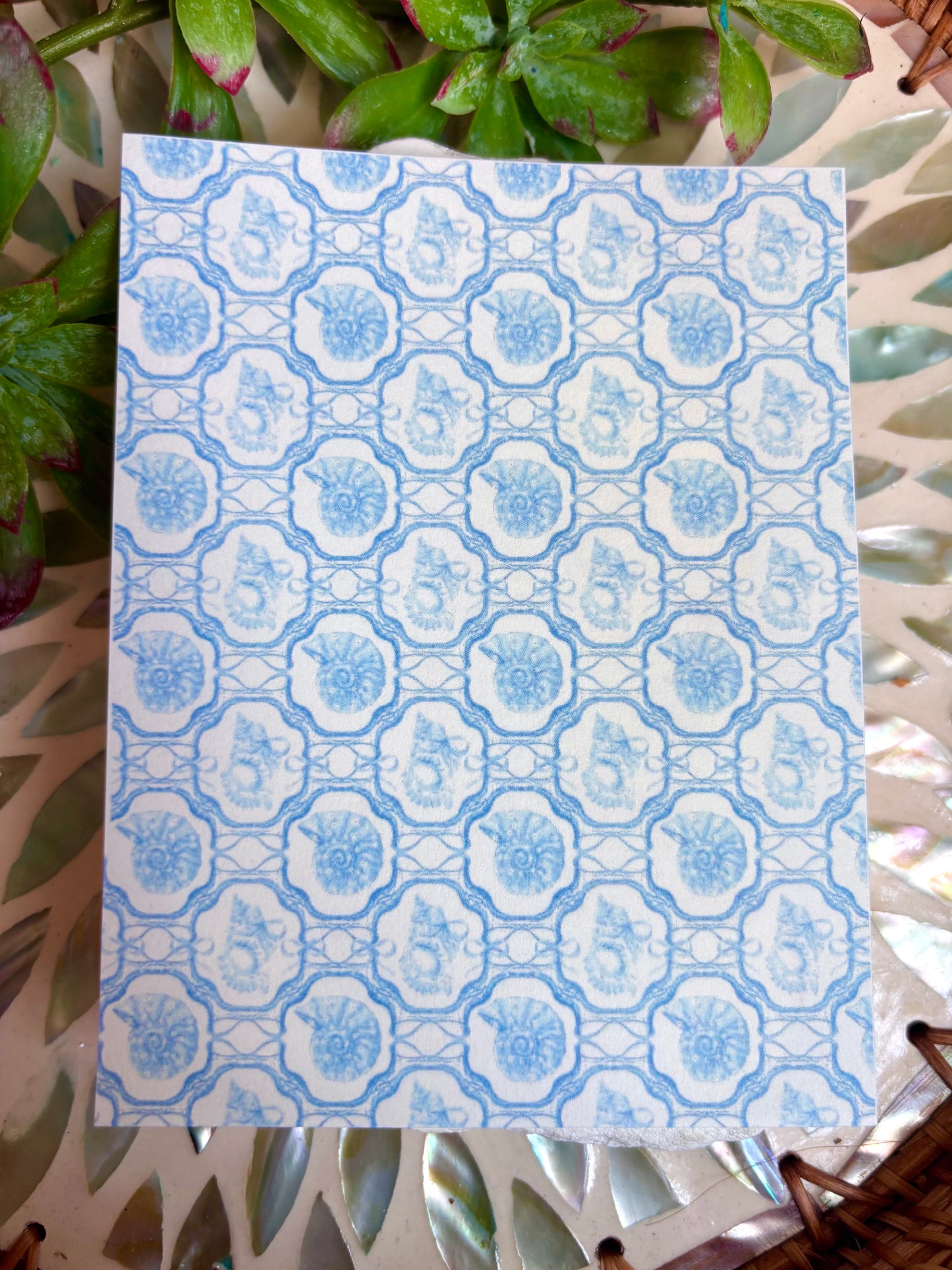 Shell Motif Transfer Paper