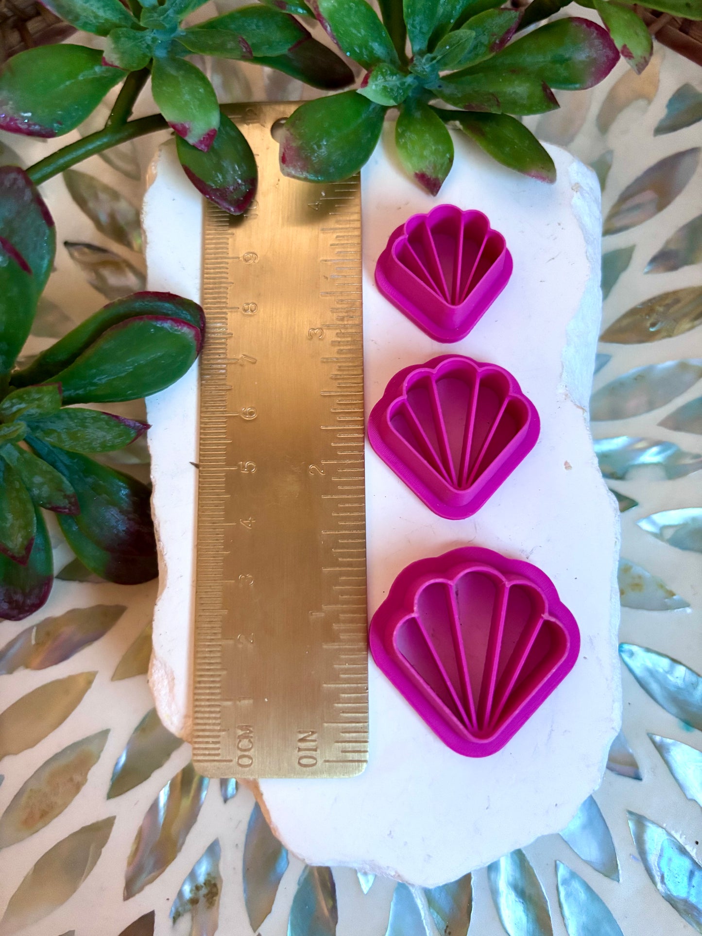 Scalloped Shell Cutter Set