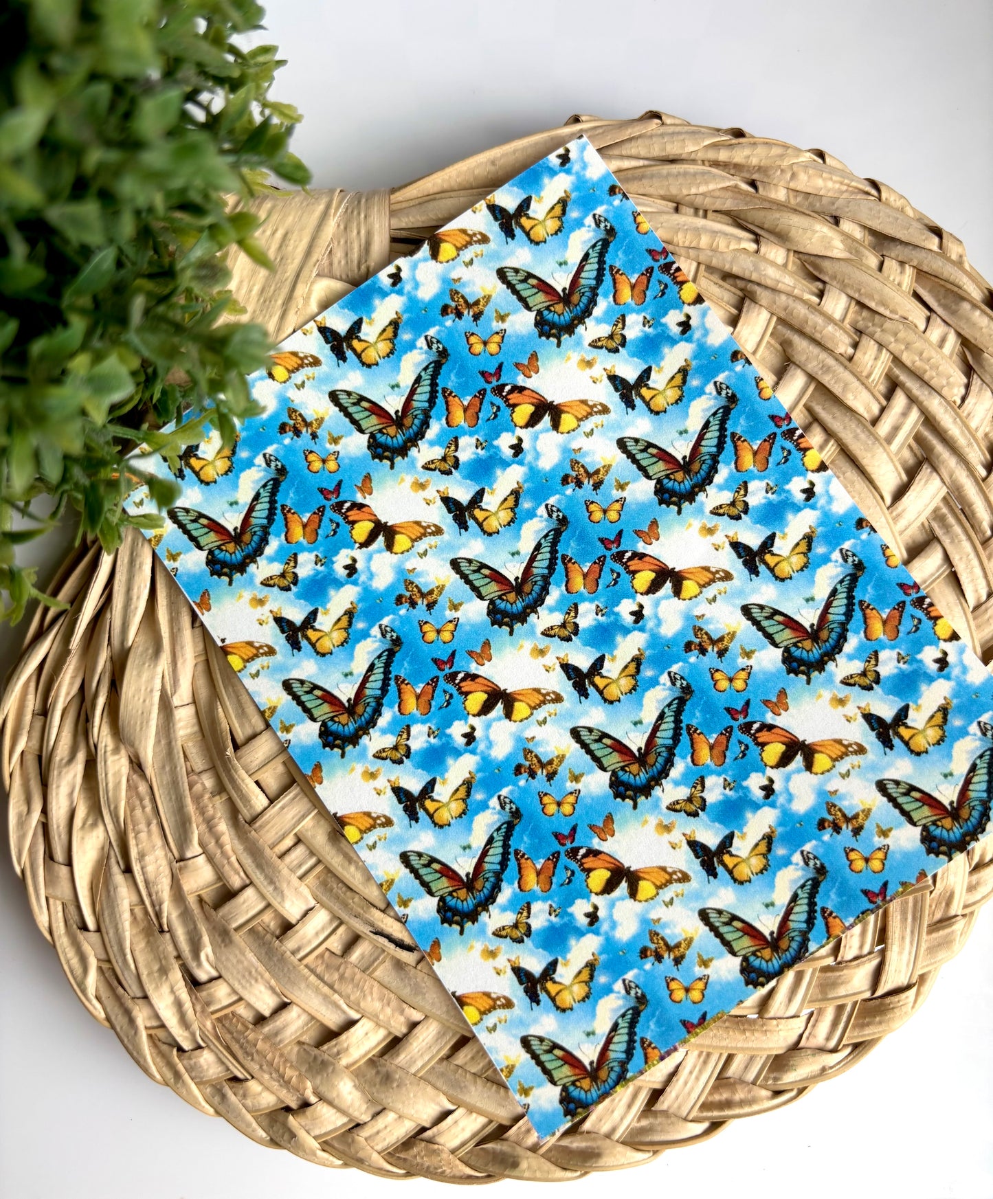 Butterfly in the Sky Transfer Paper