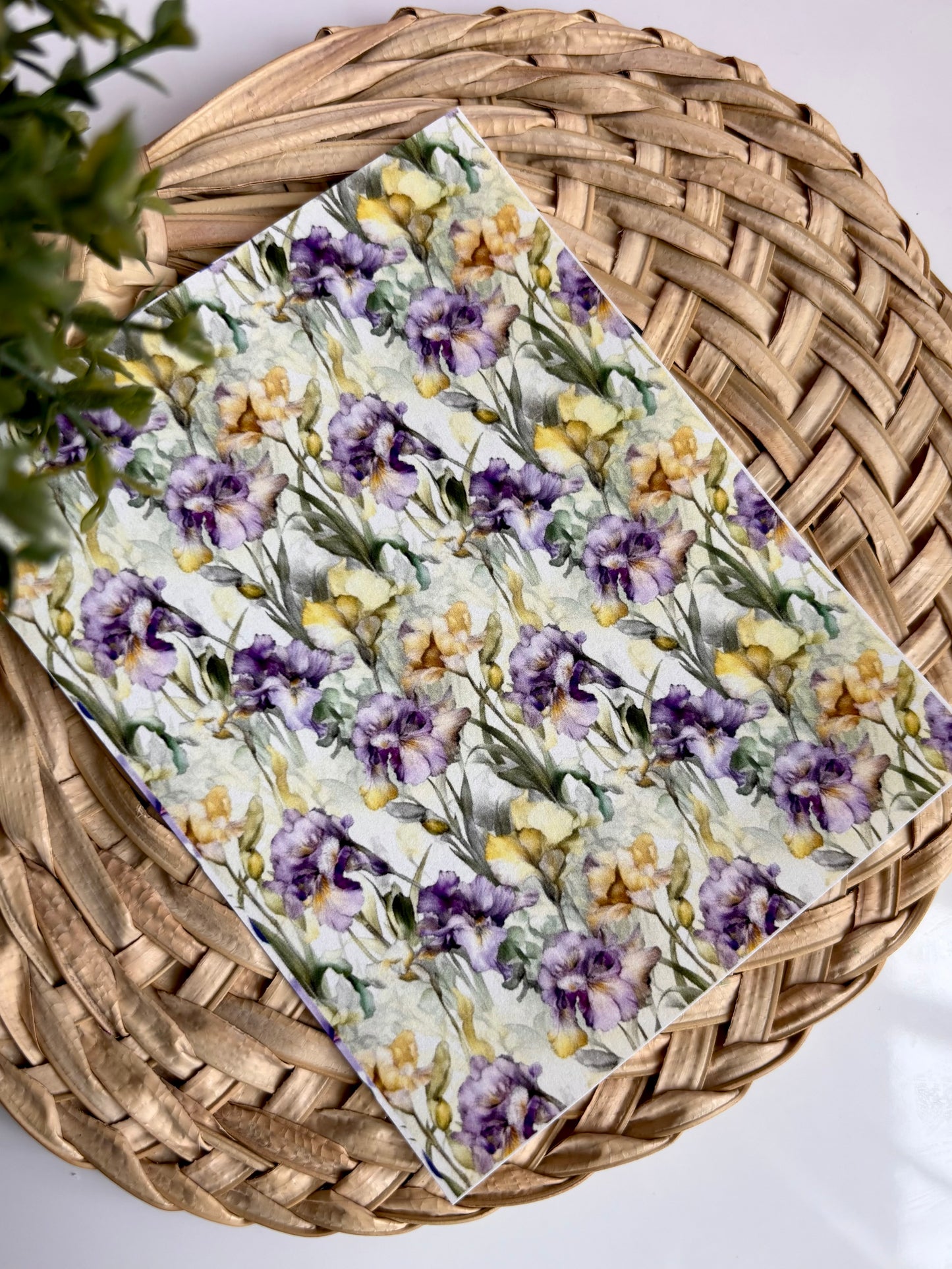 Watercolor Iris Transfer Paper