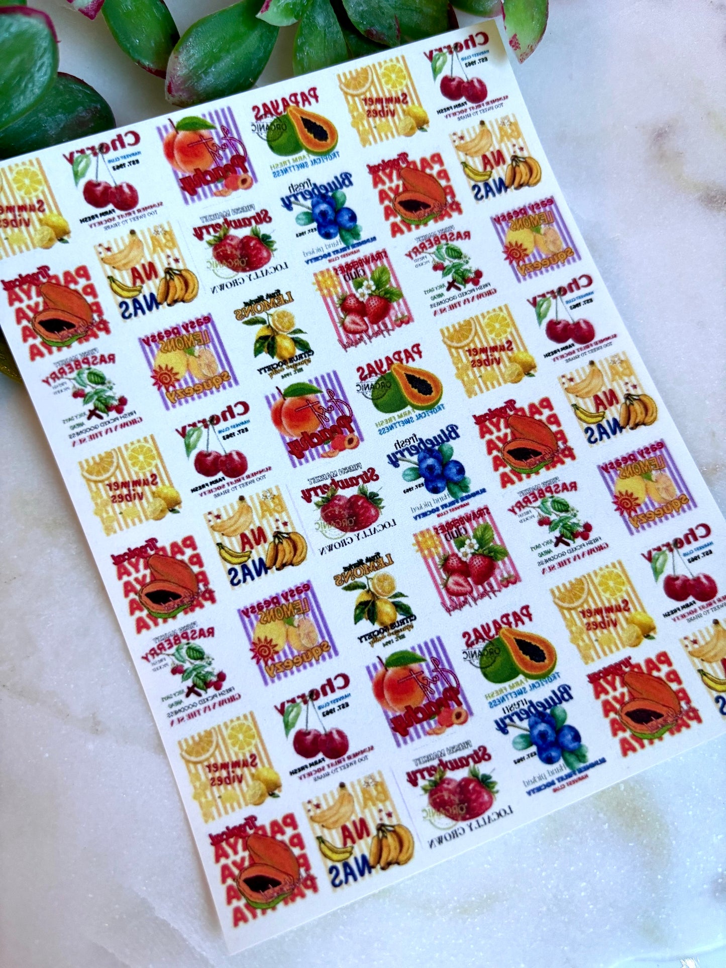 Colorful Fruit Sign Transfer Paper