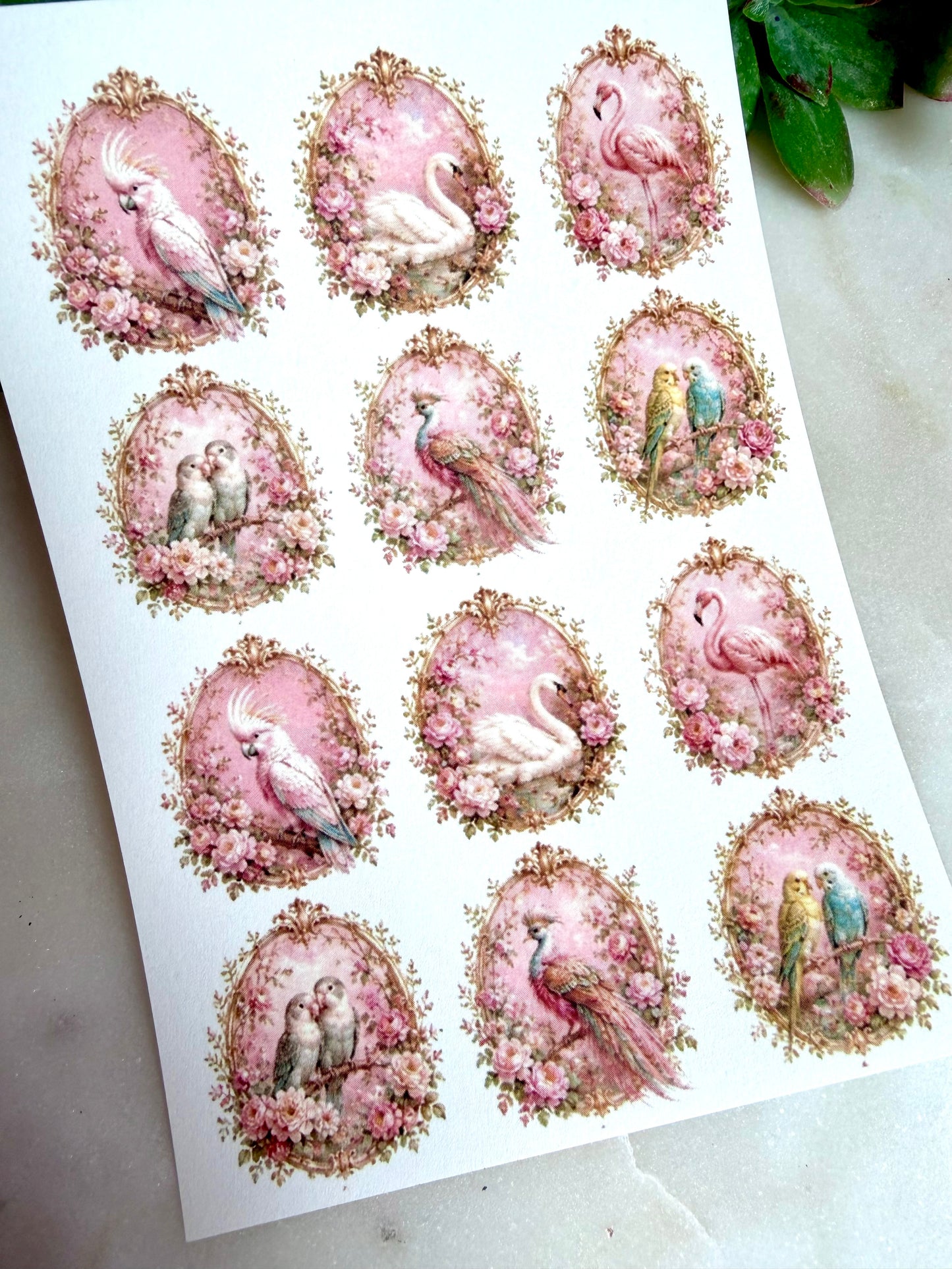 Rococo Birds Transfer Paper