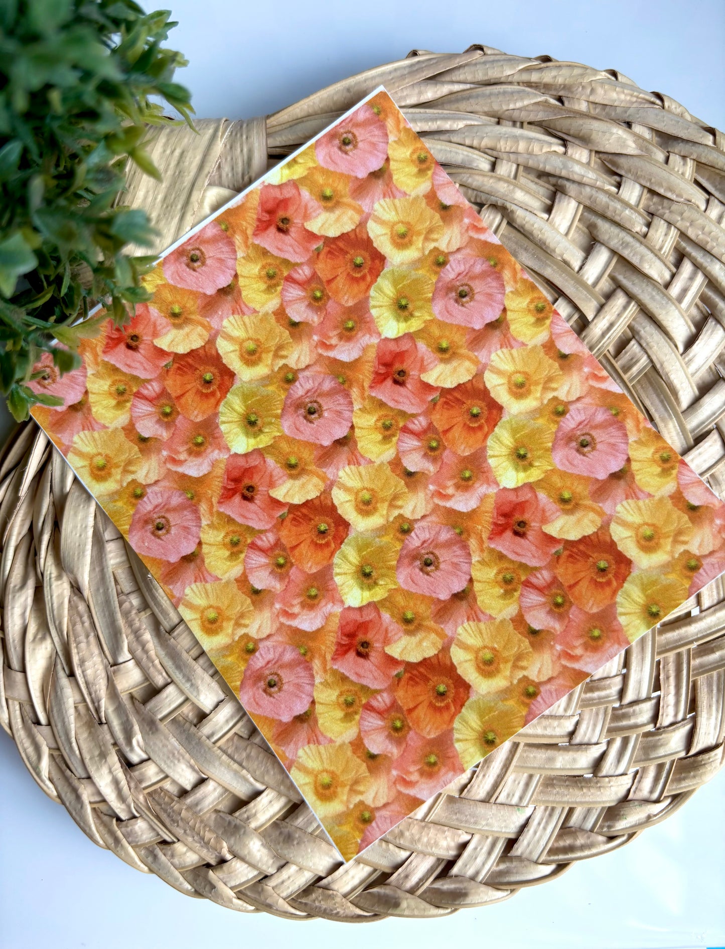 Spring Poppies Transfer Paper