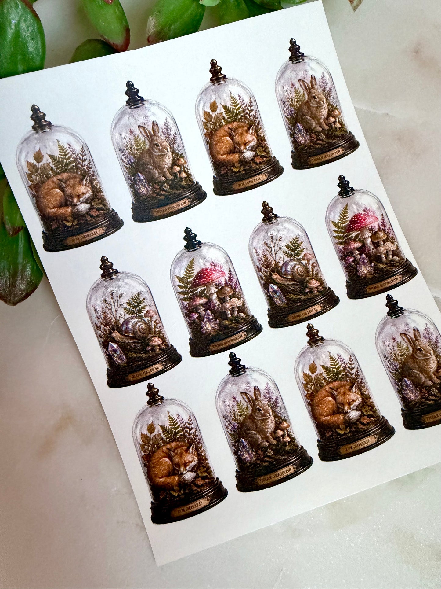 Woodland Cloche Transfer Papers