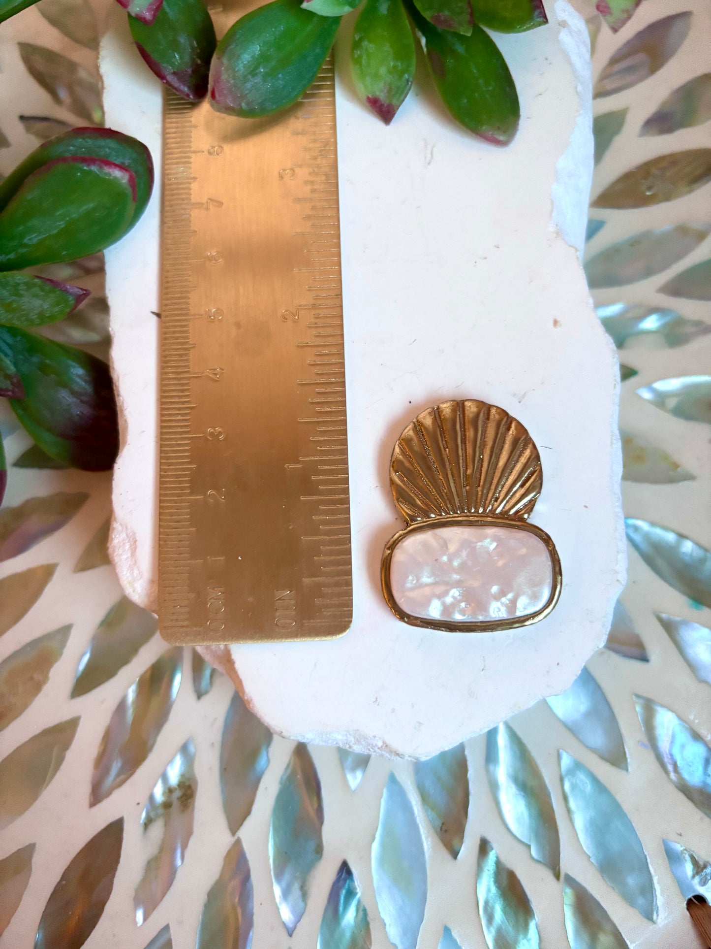 Bougie Shell Bezel Cutter