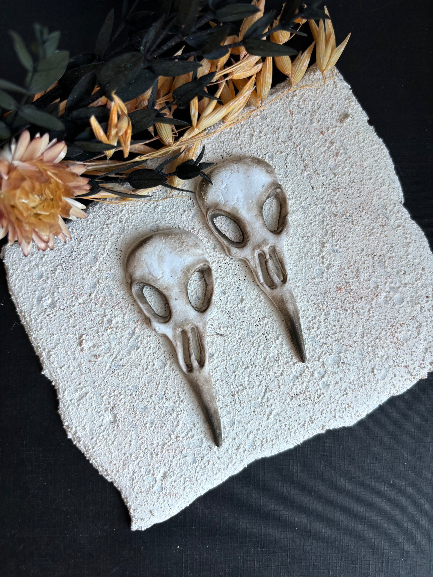 Large Bird Skull Studs