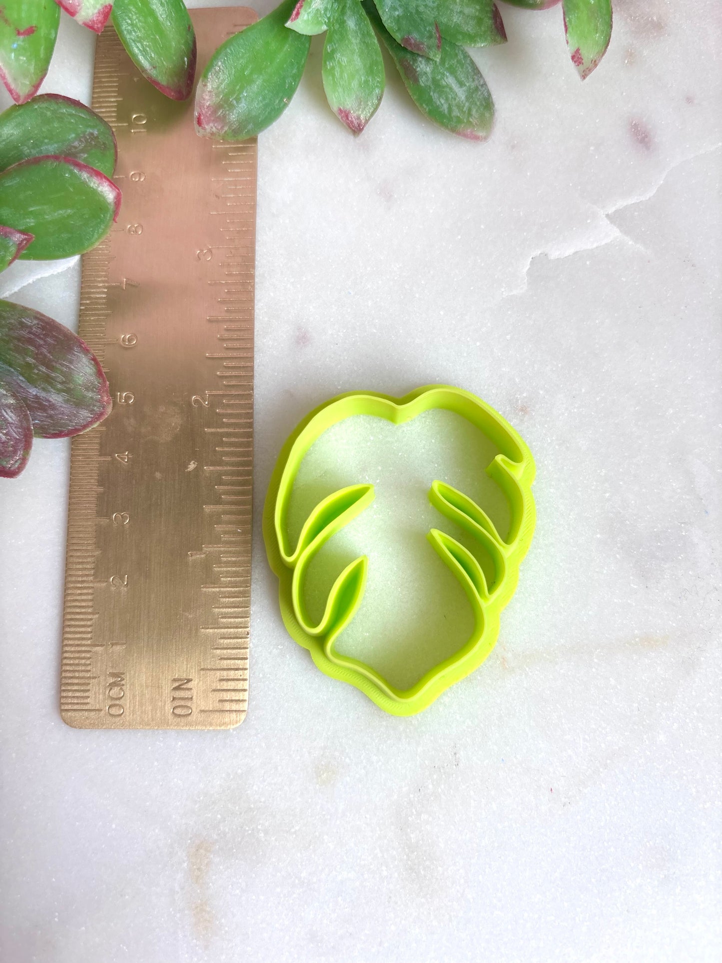 Monstera Simple Cutter Set