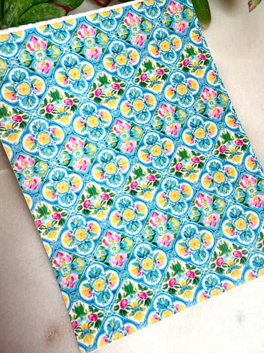 Mediterranean Scallop Transfer Papers
