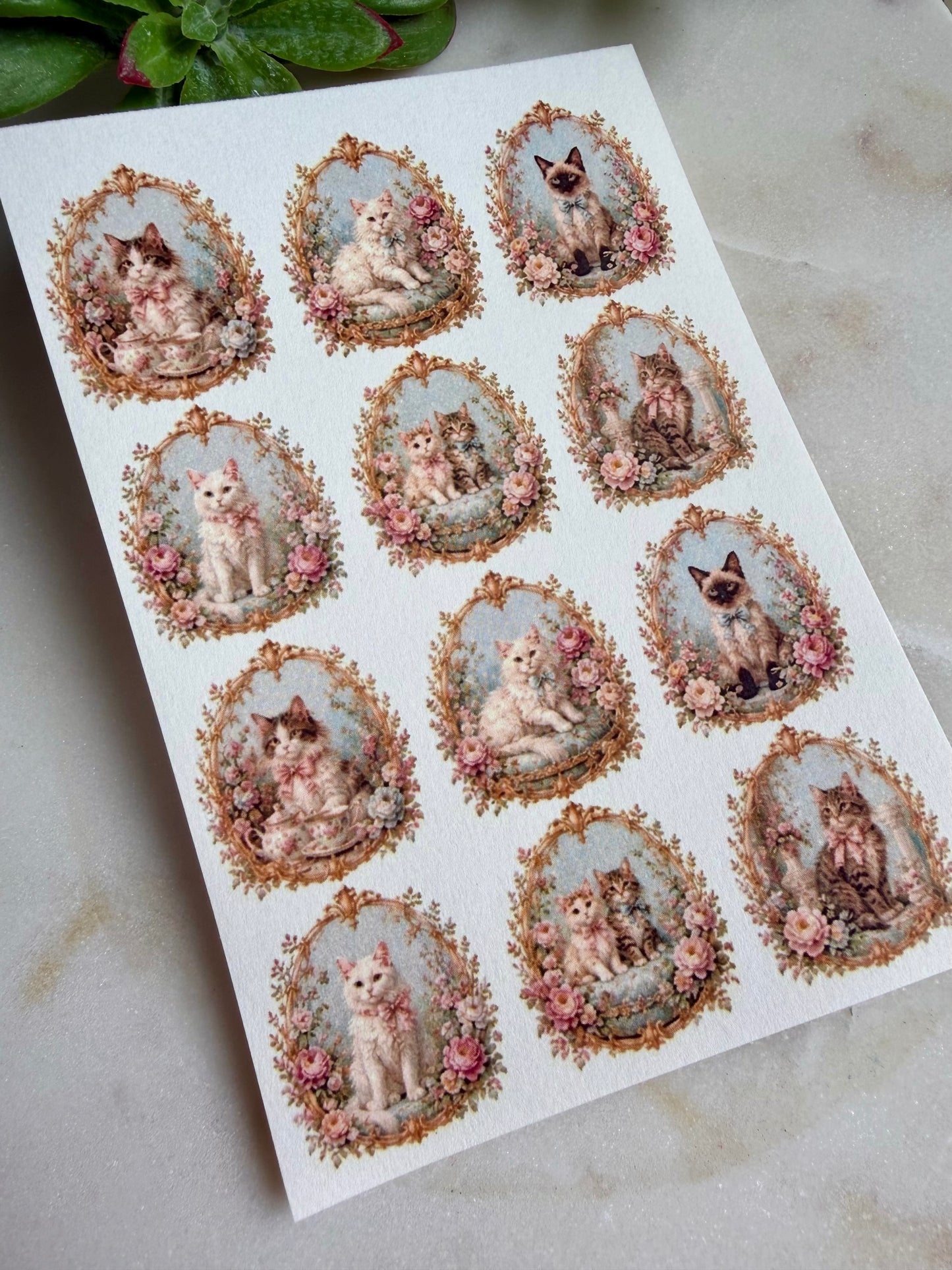 Rococo Kitty Transfer Papers