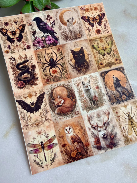 Mystic Tile Transfer Papers