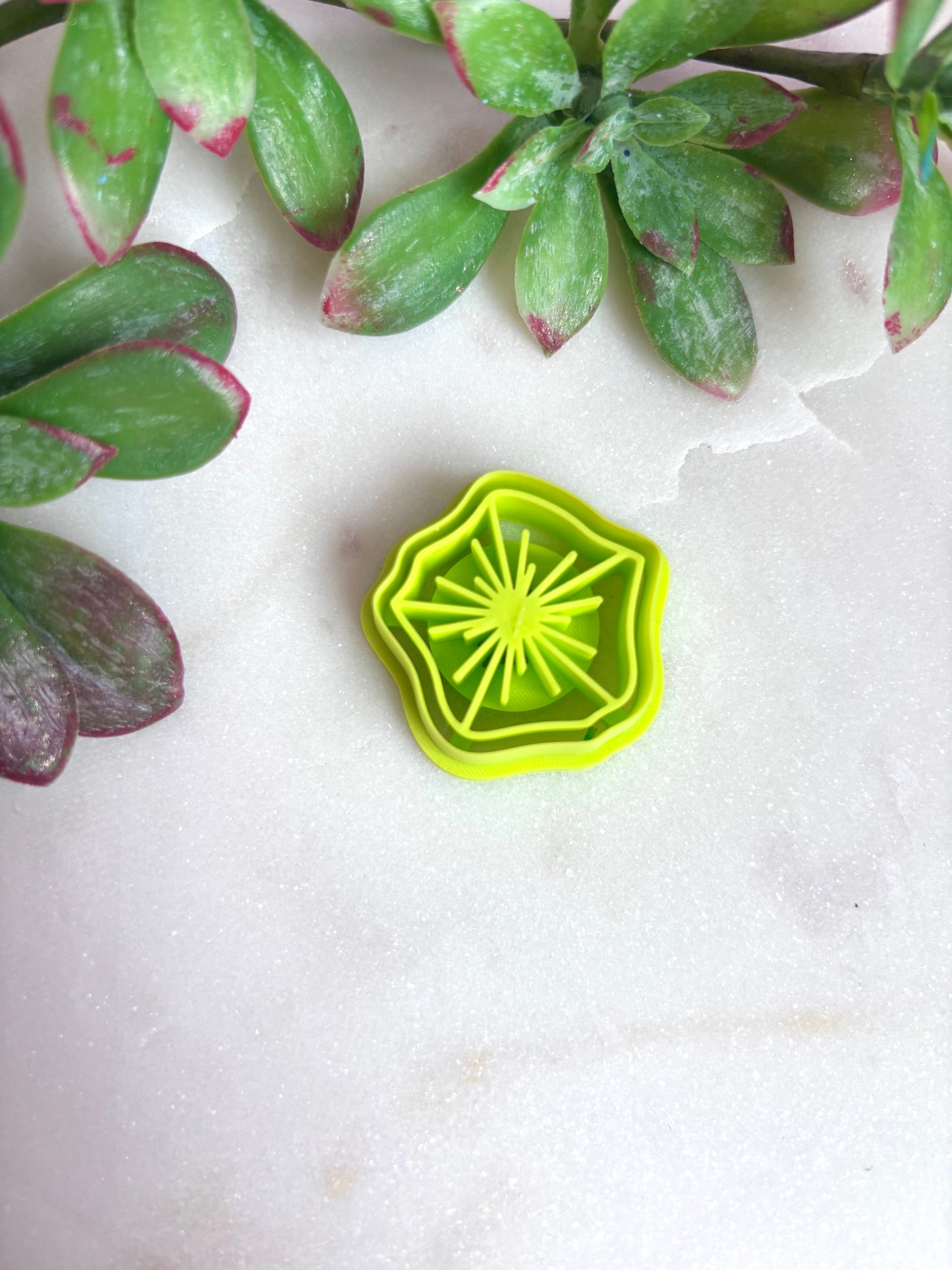 Curvy Burst Cutters