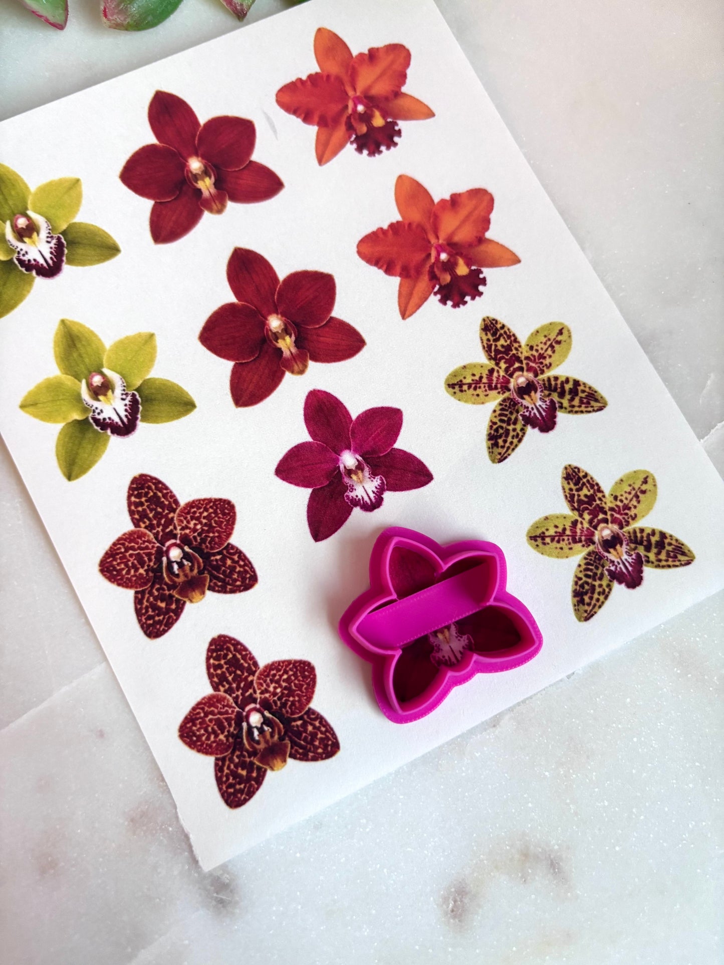 Orchid Transfers & Cutters