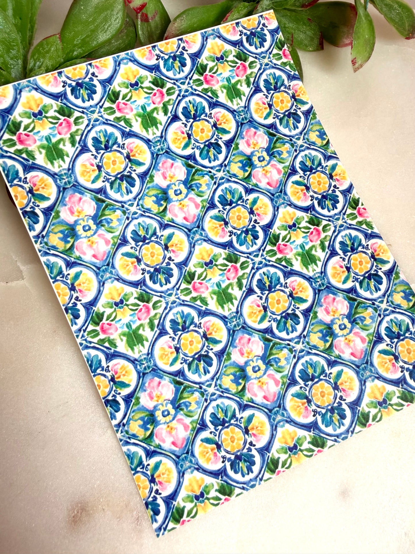 Mediterranean Scallop Transfer Papers