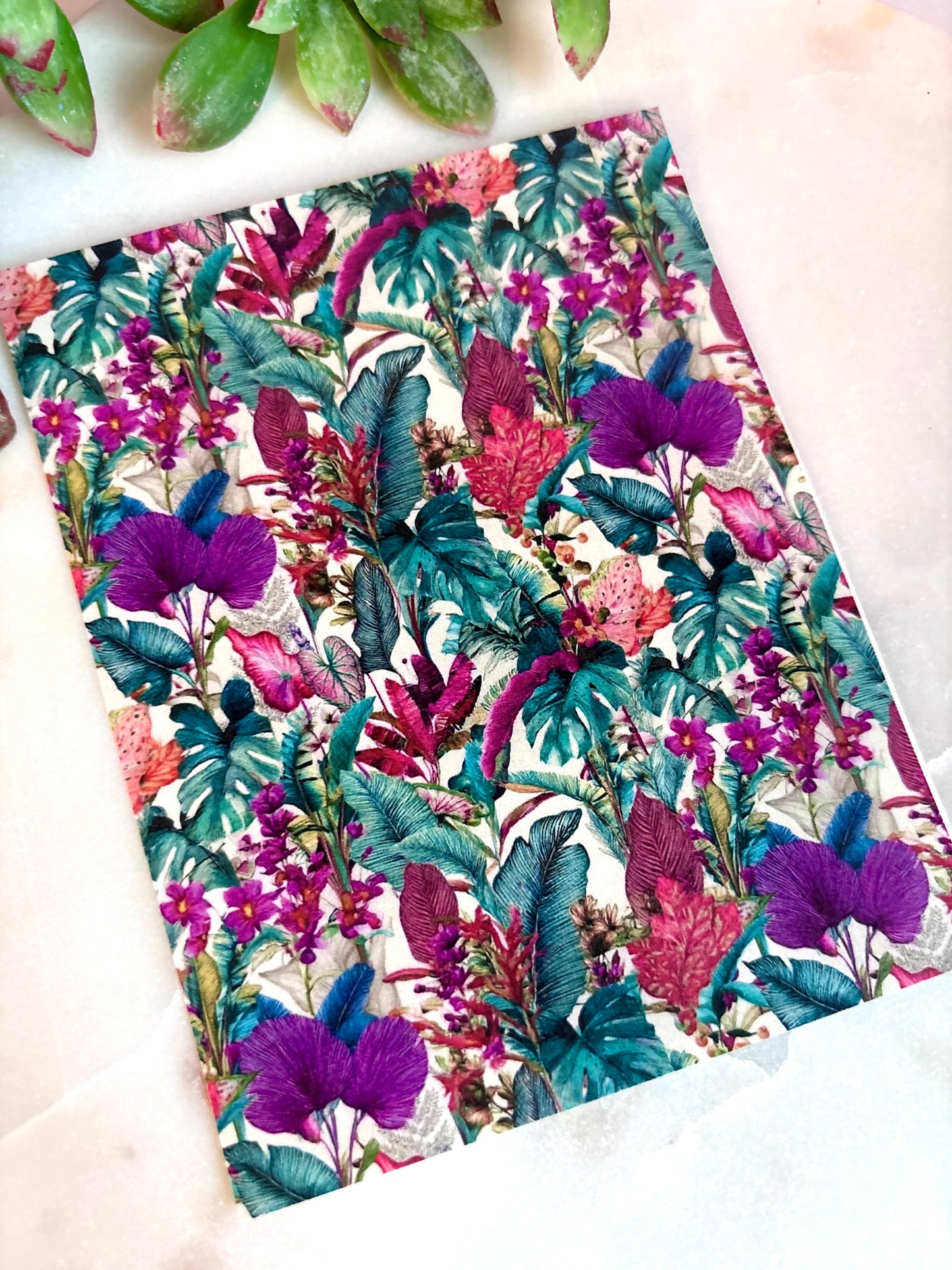 Deep Tropic Transfer Paper
