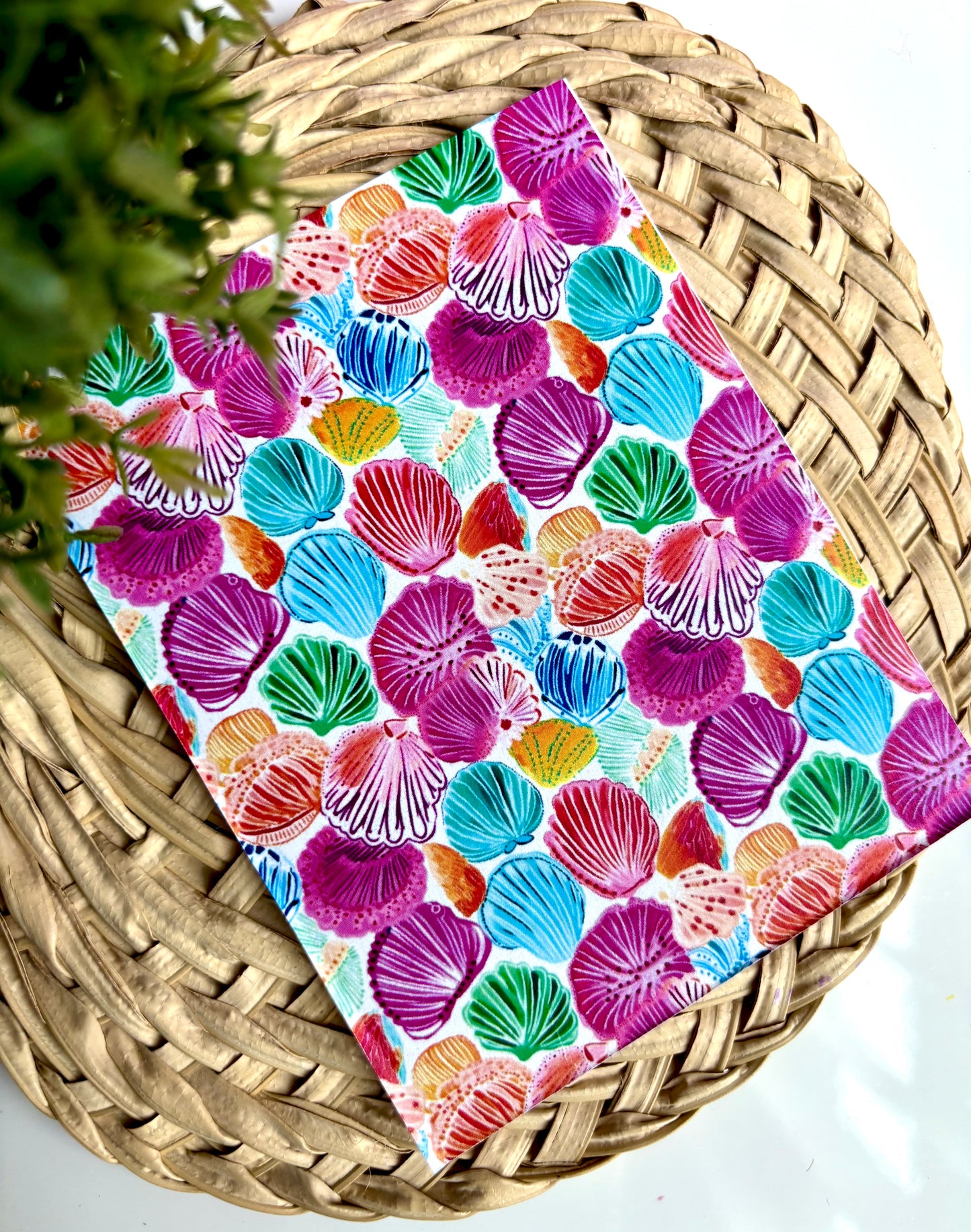 Colorful Seashell Transfer Paper