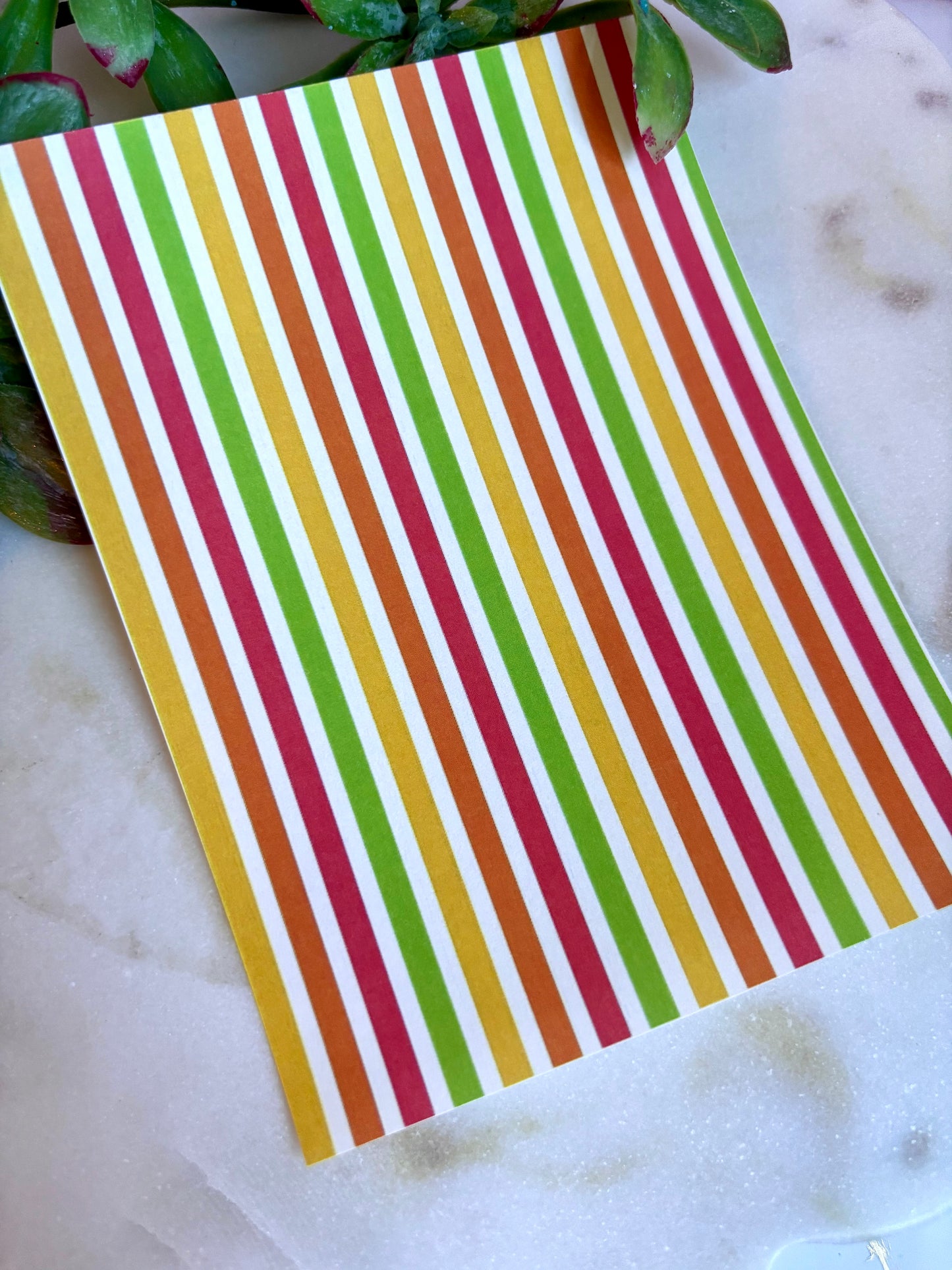 Fruit Stripe Transfer Paper