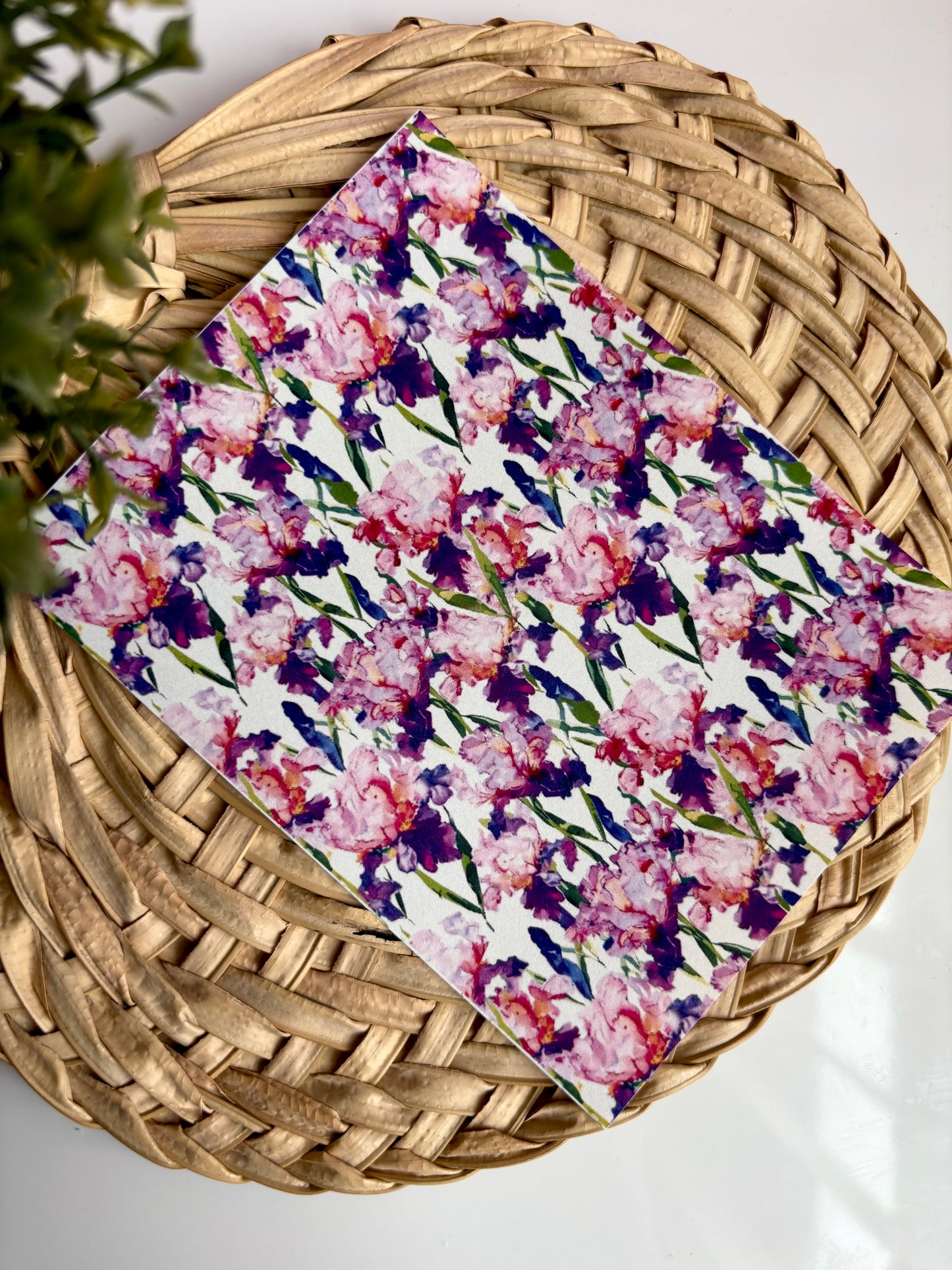 Pink Iris Transfer Paper