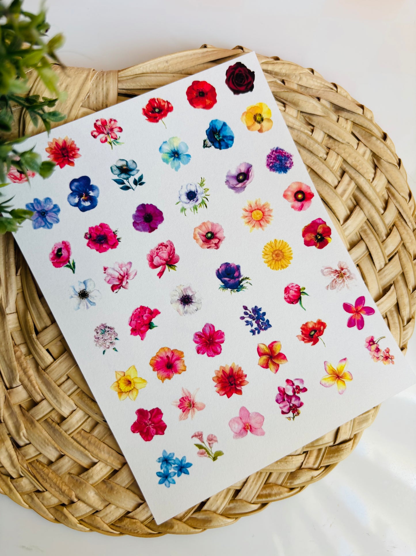 Solo Floral Charm Transfer Paper